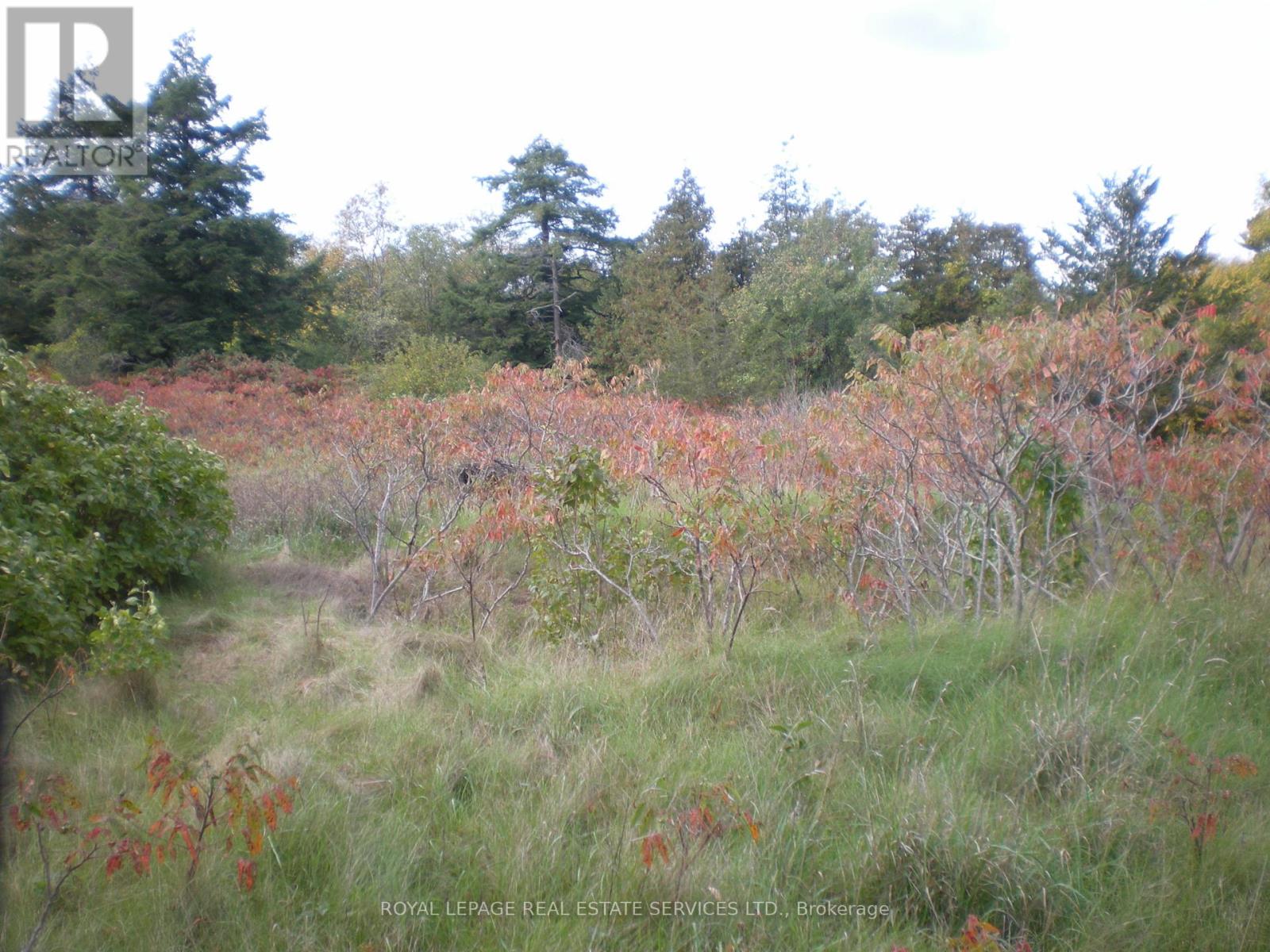 County Road 10, Lot 2, Prince Edward County (South Marysburg Ward), Ontario  K0K 2T0 - Photo 10 - X12446976