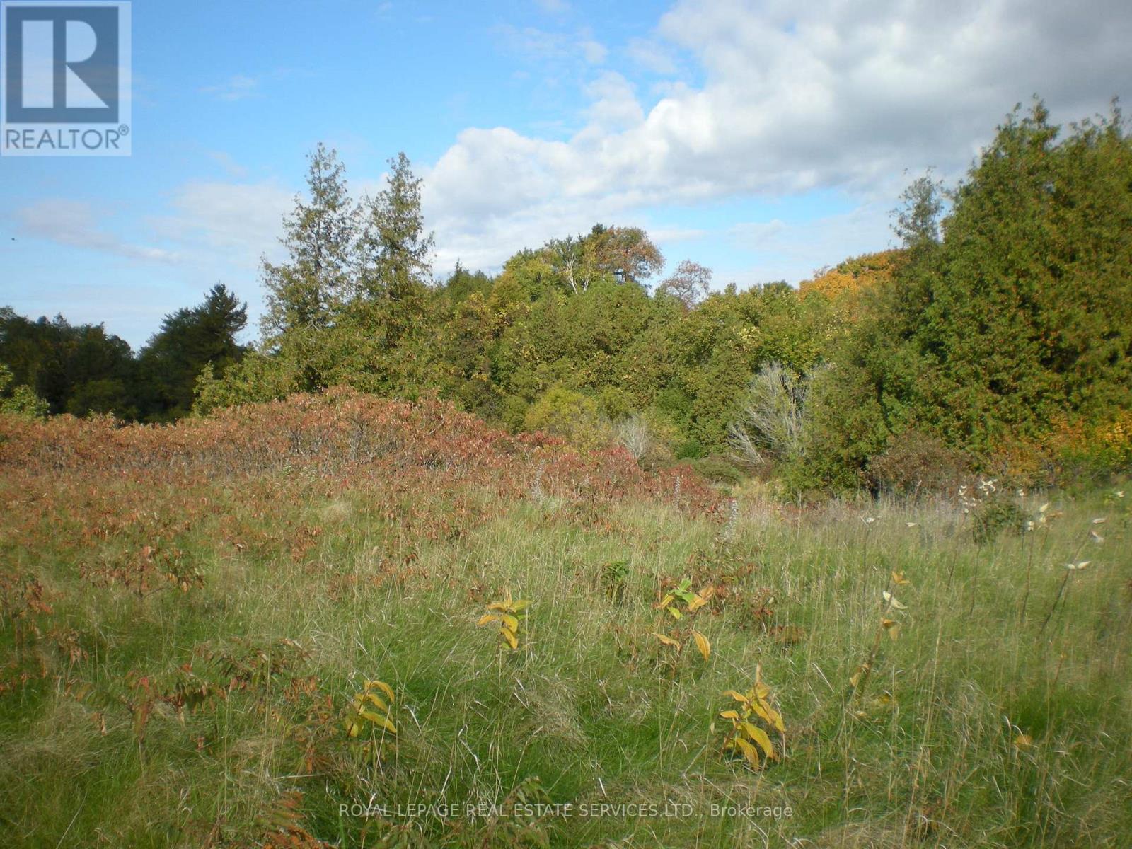 County Road 10, Lot 2, Prince Edward County (South Marysburg Ward), Ontario  K0K 2T0 - Photo 8 - X12446976