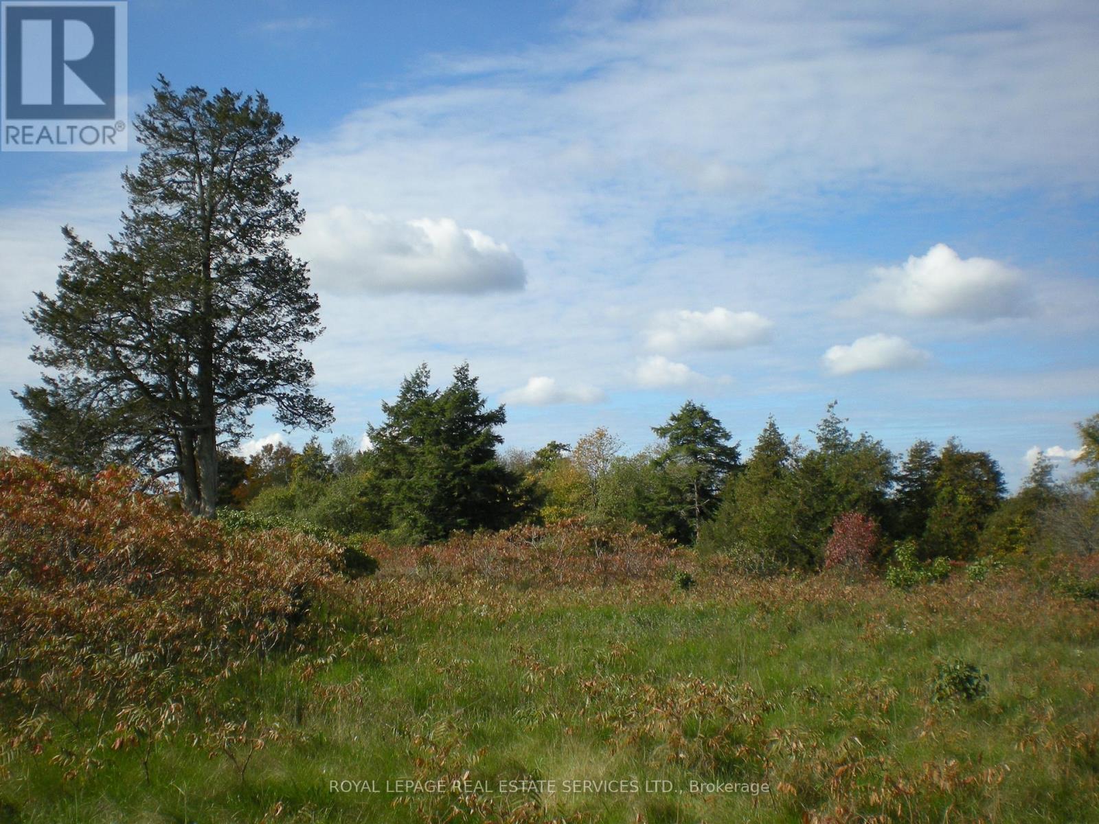County Road 10, Lot 3, Prince Edward County (South Marysburg Ward), Ontario  K0K 2T0 - Photo 10 - X12446979