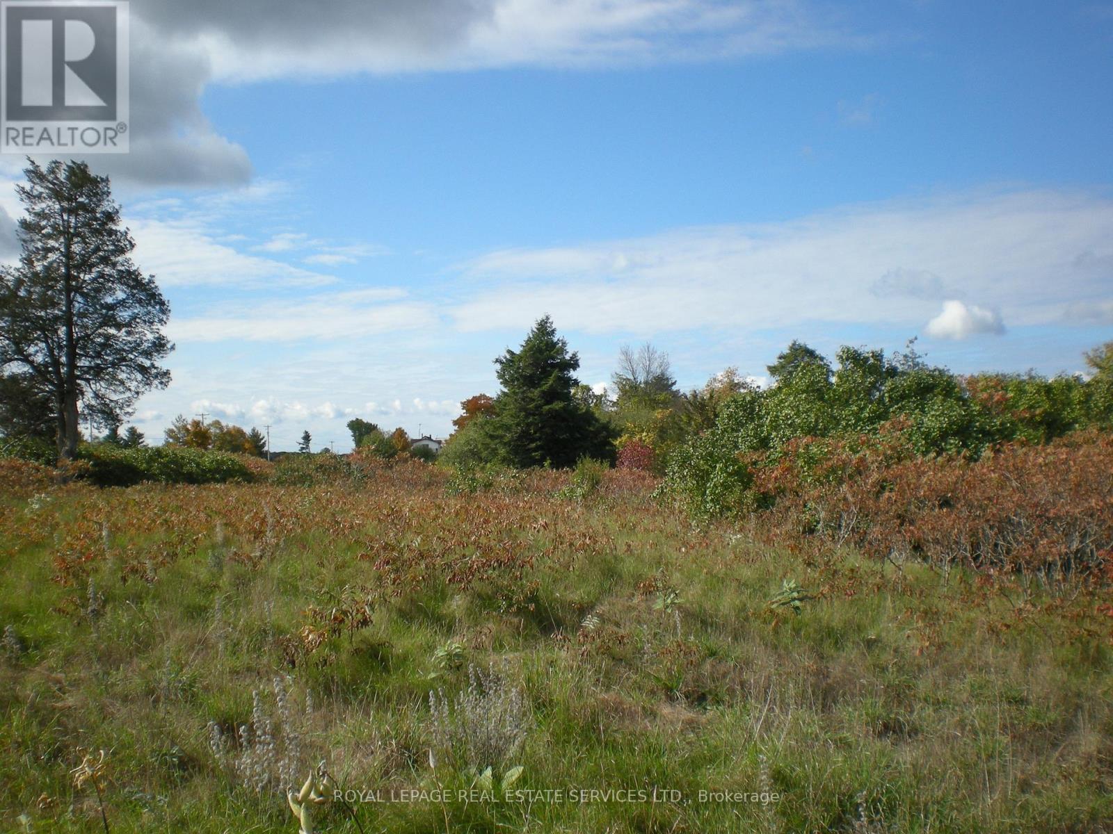 County Road 10, Lot 3, Prince Edward County (South Marysburg Ward), Ontario  K0K 2T0 - Photo 8 - X12446979