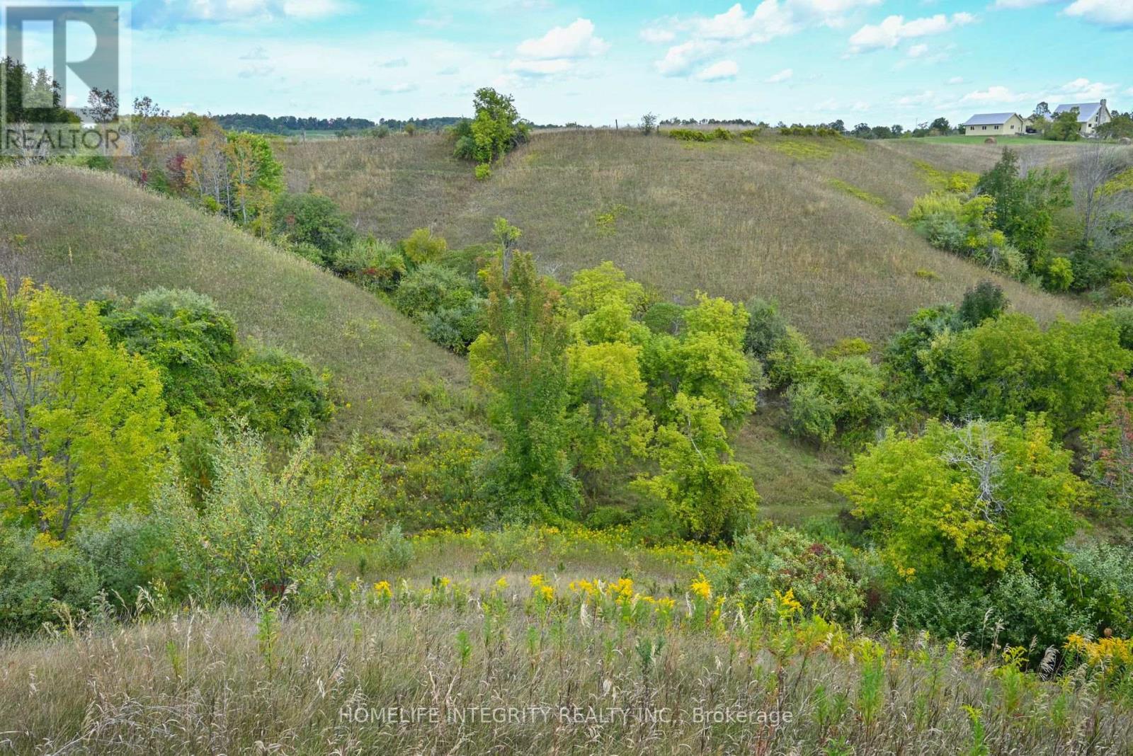 995305 Mono Adjala Townline, Adjala-Tosorontio, Ontario  L9R 1V1 - Photo 39 - N12417163