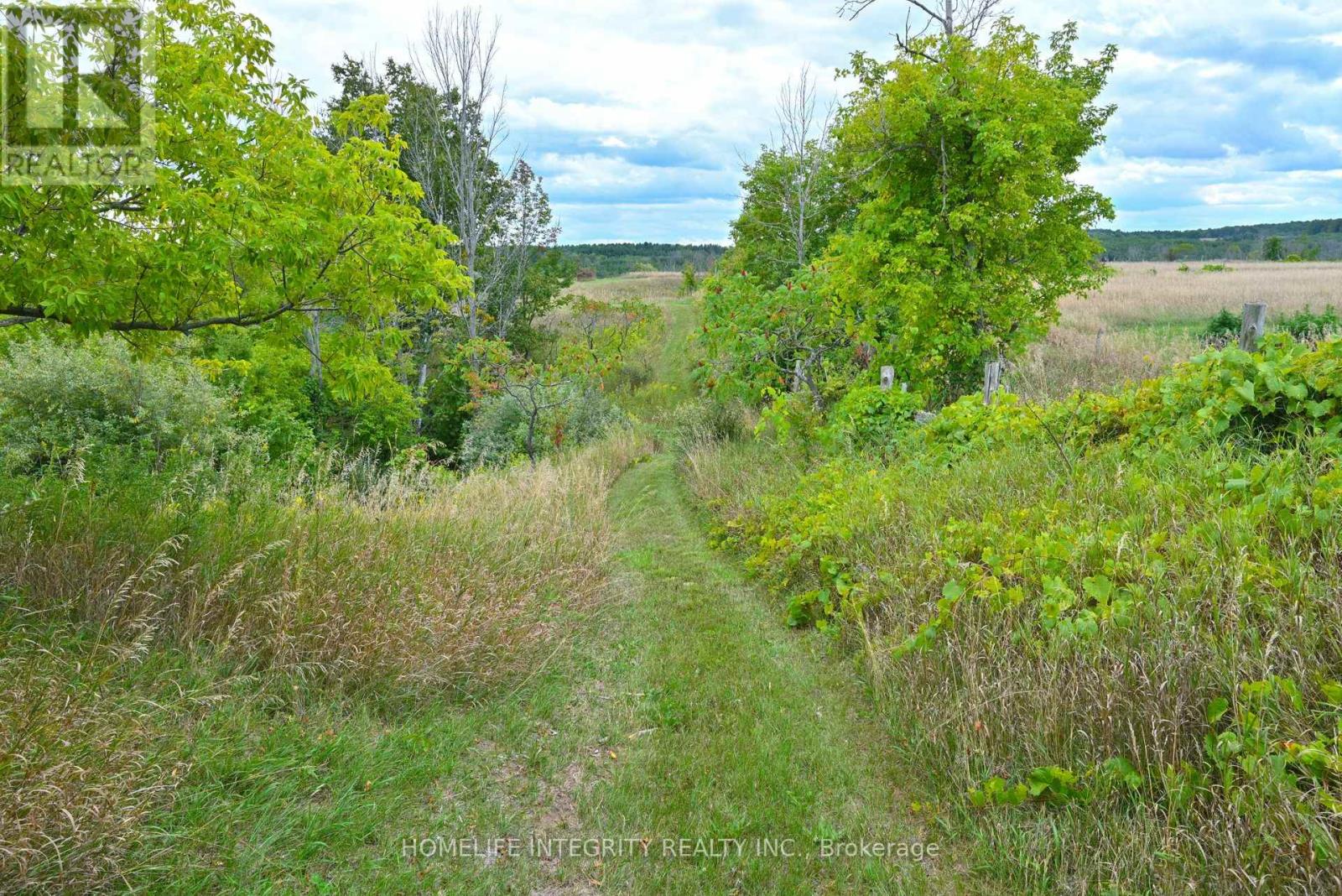 995305 Mono Adjala Townline, Adjala-Tosorontio, Ontario  L9R 1V1 - Photo 40 - N12417163