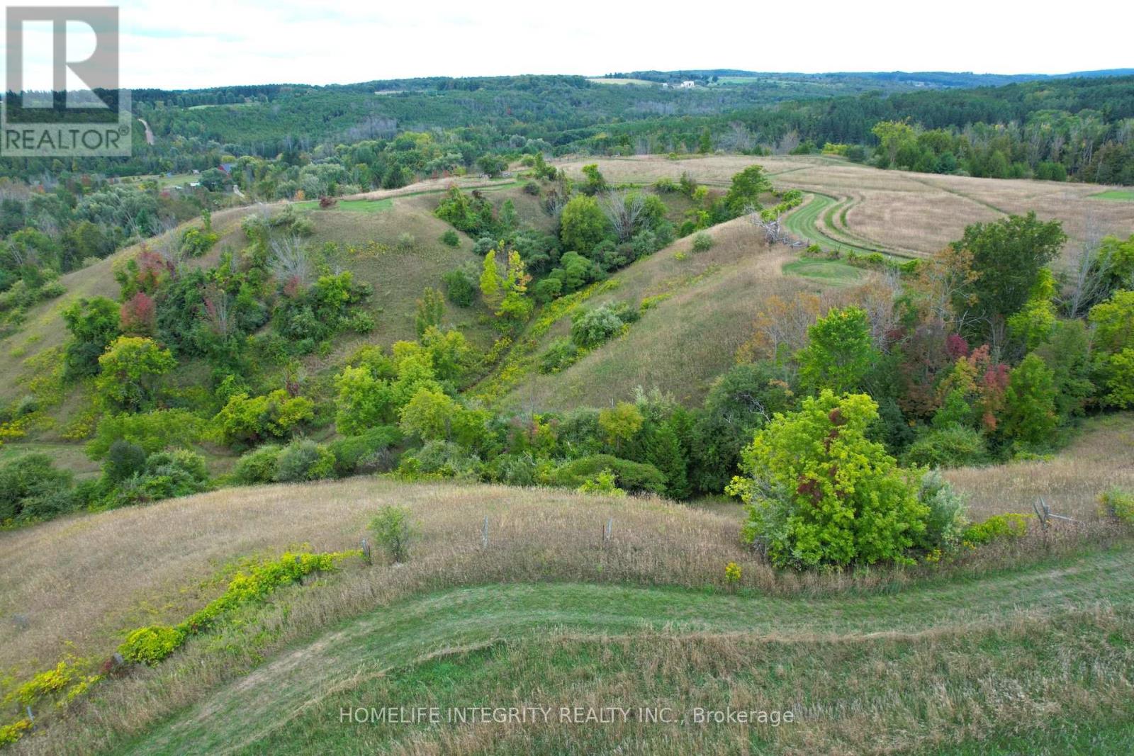 995305 Mono Adjala Townline, Adjala-Tosorontio, Ontario  L9R 1V1 - Photo 42 - N12417163