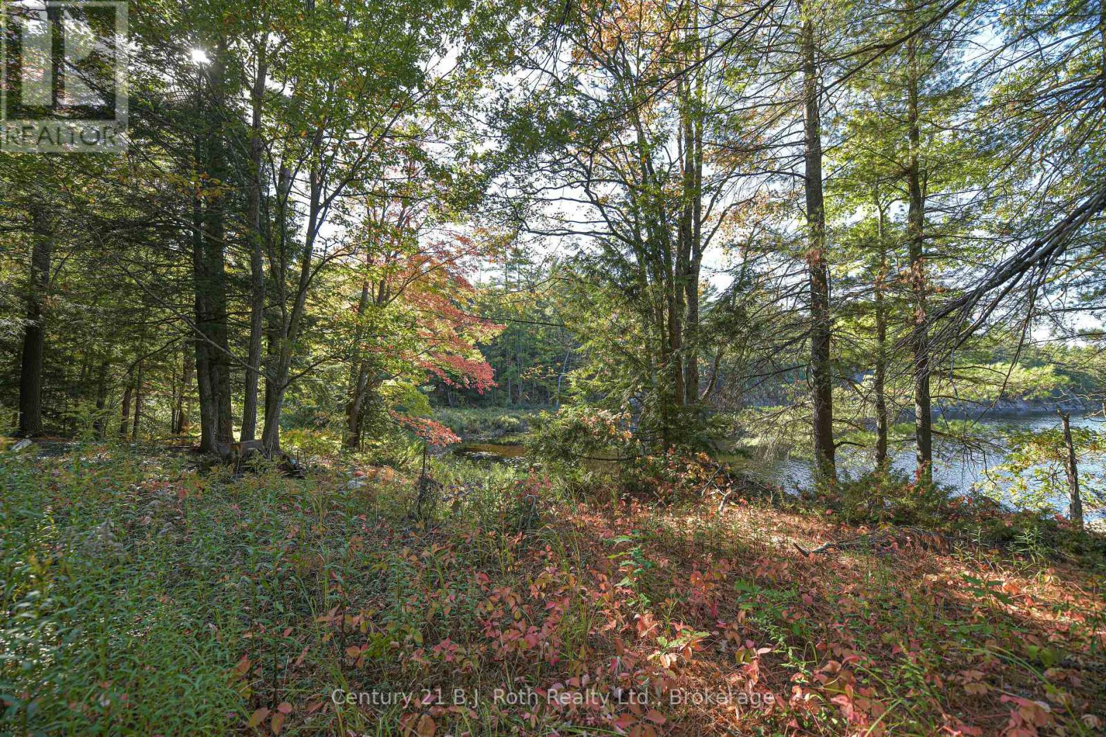 2 - 1112 Sam Cook Road, Gravenhurst, Ontario  P1P 1R3 - Photo 16 - X12447060