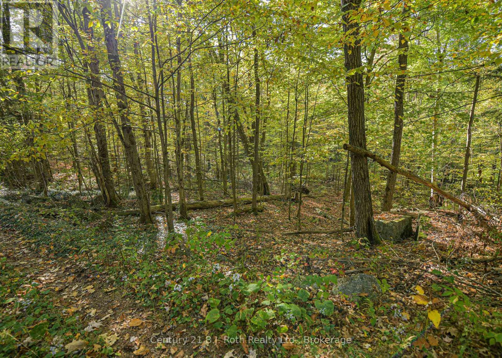 2 - 1112 Sam Cook Road, Gravenhurst, Ontario  P1P 1R3 - Photo 14 - X12447060