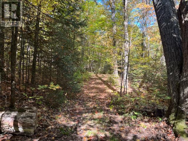 96 520 Highway W, Burk's Falls, Ontario  P0C 1A0 - Photo 42 - X12447443