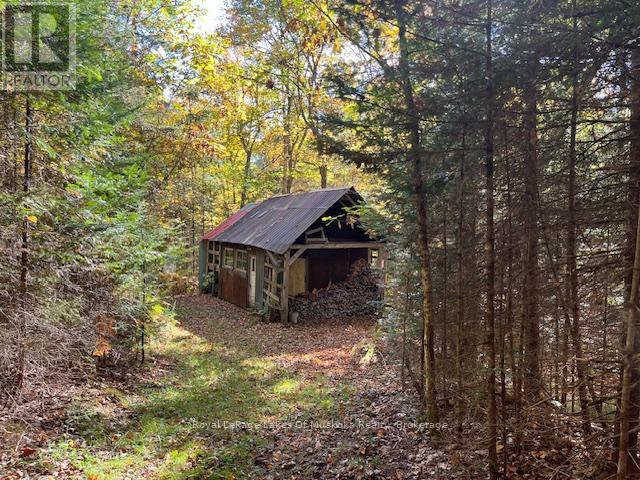 96 520 Highway W, Burk's Falls, Ontario  P0C 1A0 - Photo 43 - X12447443
