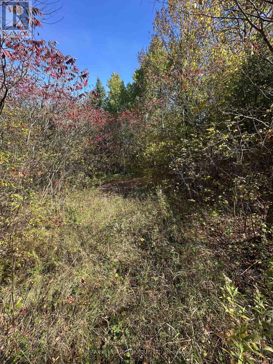 1 Proctor Road, South Glengarry, Ontario  K0C 2J0 - Photo 3 - X12447444