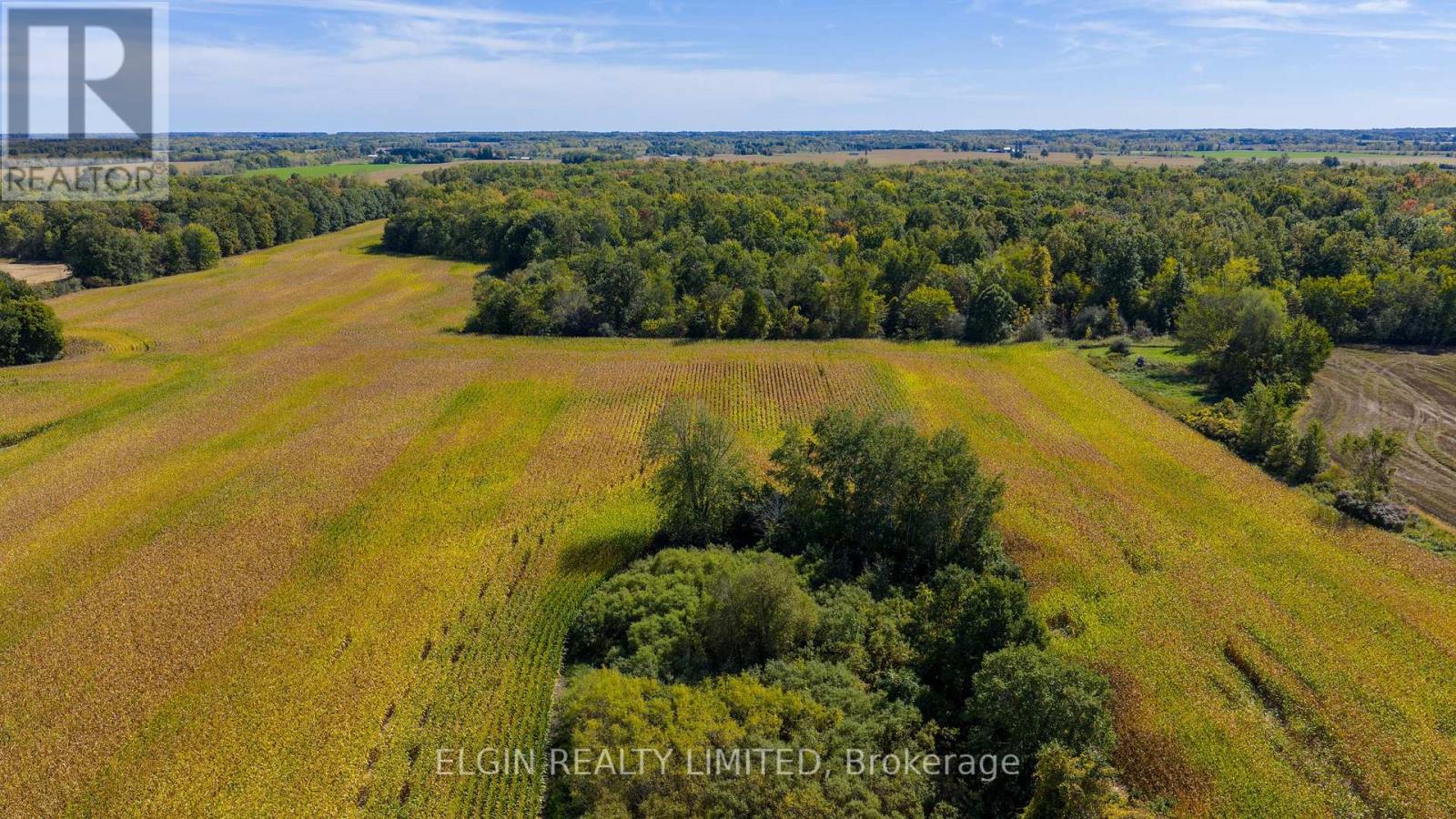 33875 Fifth Line, Southwold, Ontario  N0L 1P0 - Photo 10 - X12447564