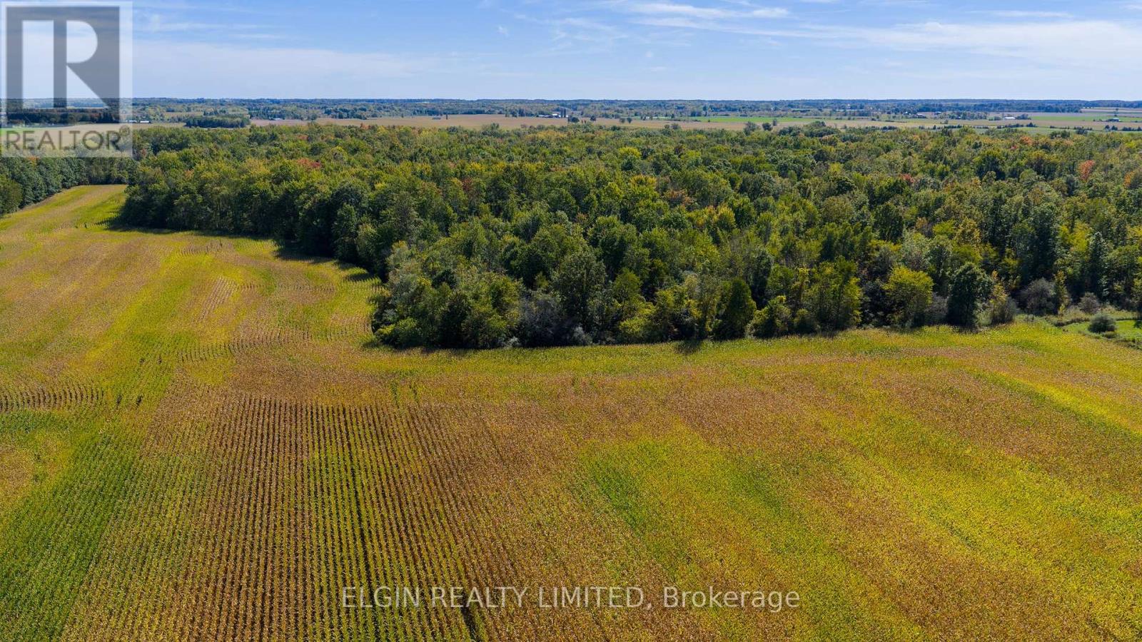 33875 Fifth Line, Southwold, Ontario  N0L 1P0 - Photo 12 - X12447564