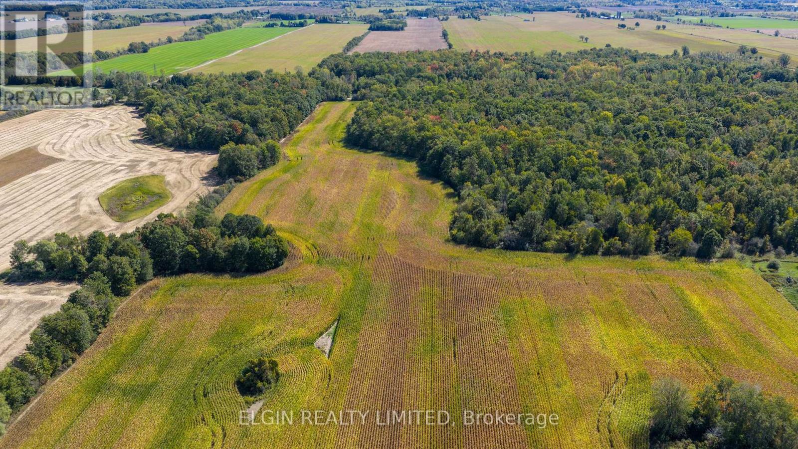 33875 Fifth Line, Southwold, Ontario  N0L 1P0 - Photo 19 - X12447564