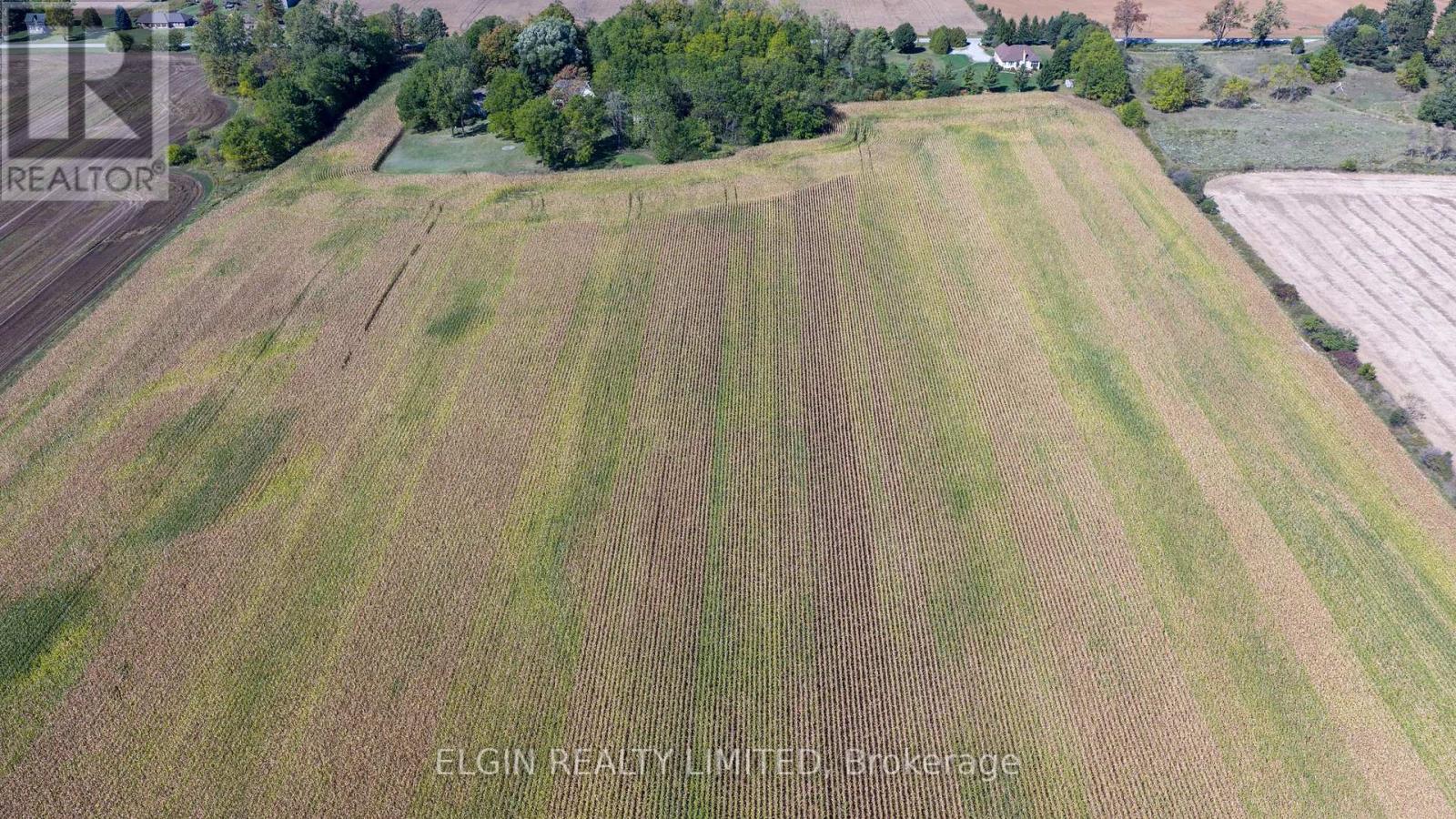 33875 Fifth Line, Southwold, Ontario  N0L 1P0 - Photo 21 - X12447564