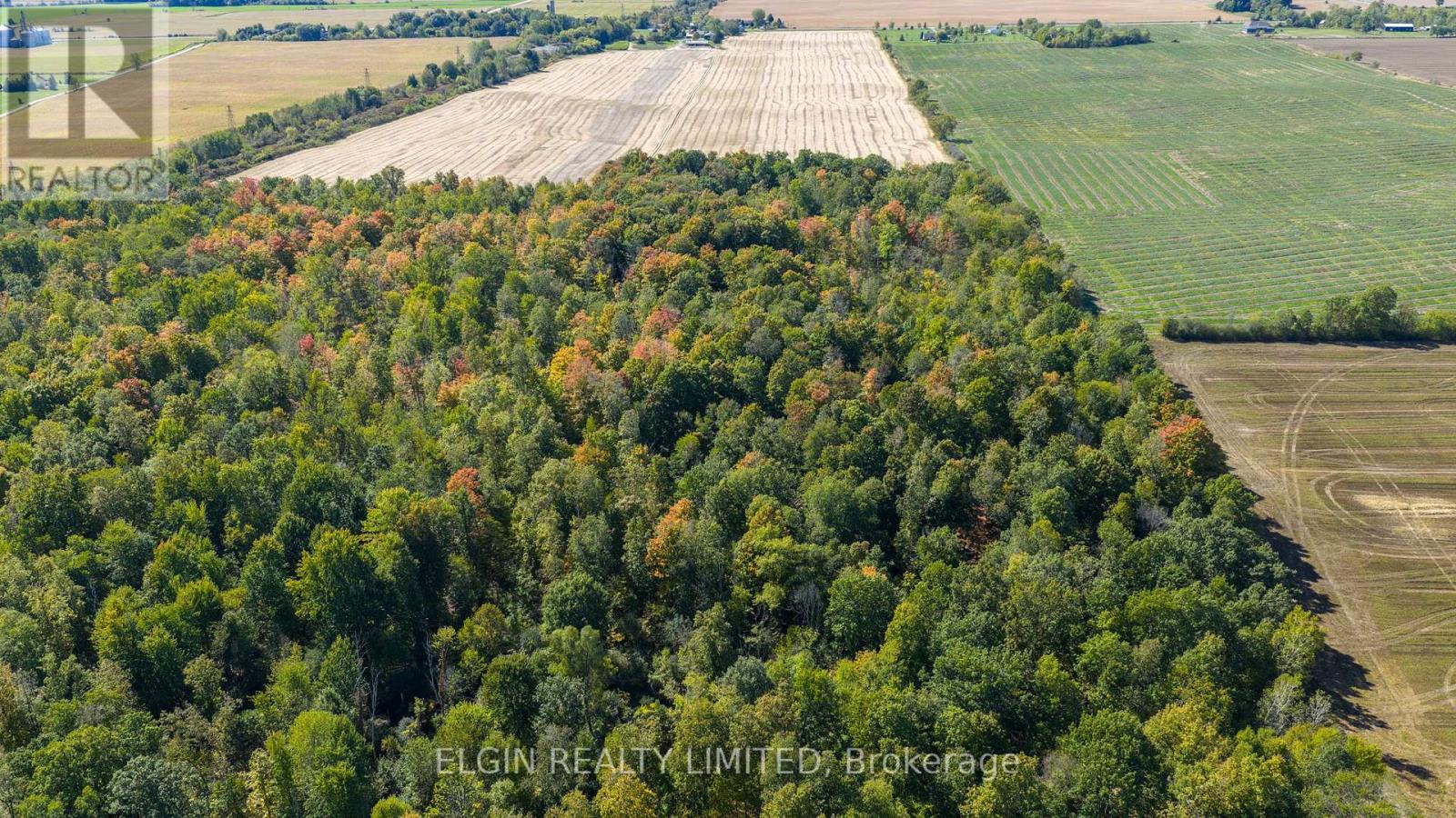 33875 Fifth Line, Southwold, Ontario  N0L 1P0 - Photo 23 - X12447564