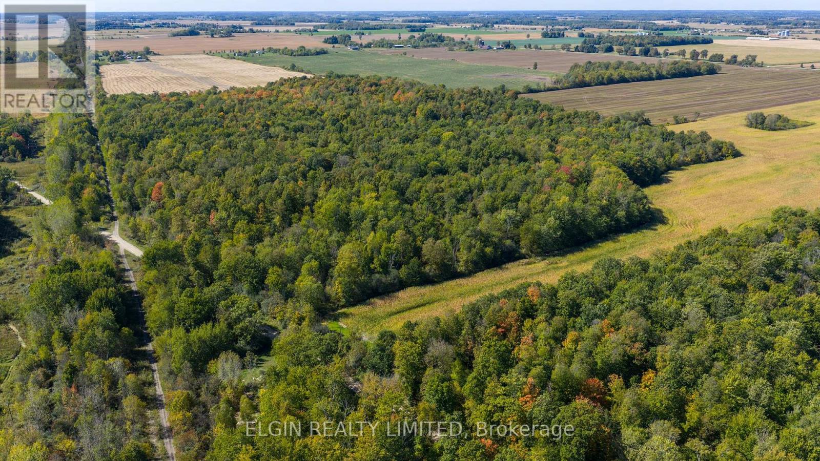 33875 Fifth Line, Southwold, Ontario  N0L 1P0 - Photo 24 - X12447564