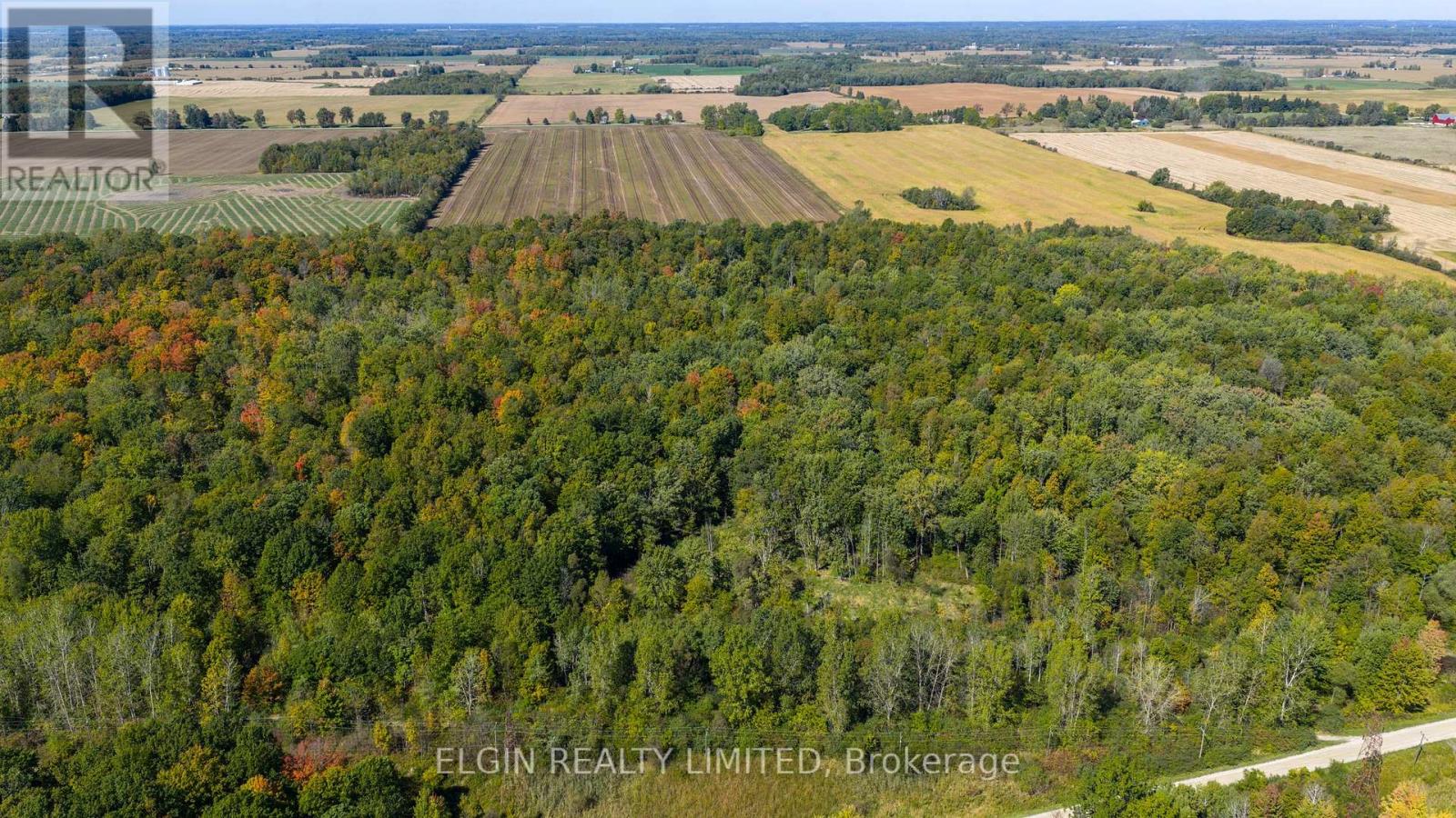 33875 Fifth Line, Southwold, Ontario  N0L 1P0 - Photo 29 - X12447564