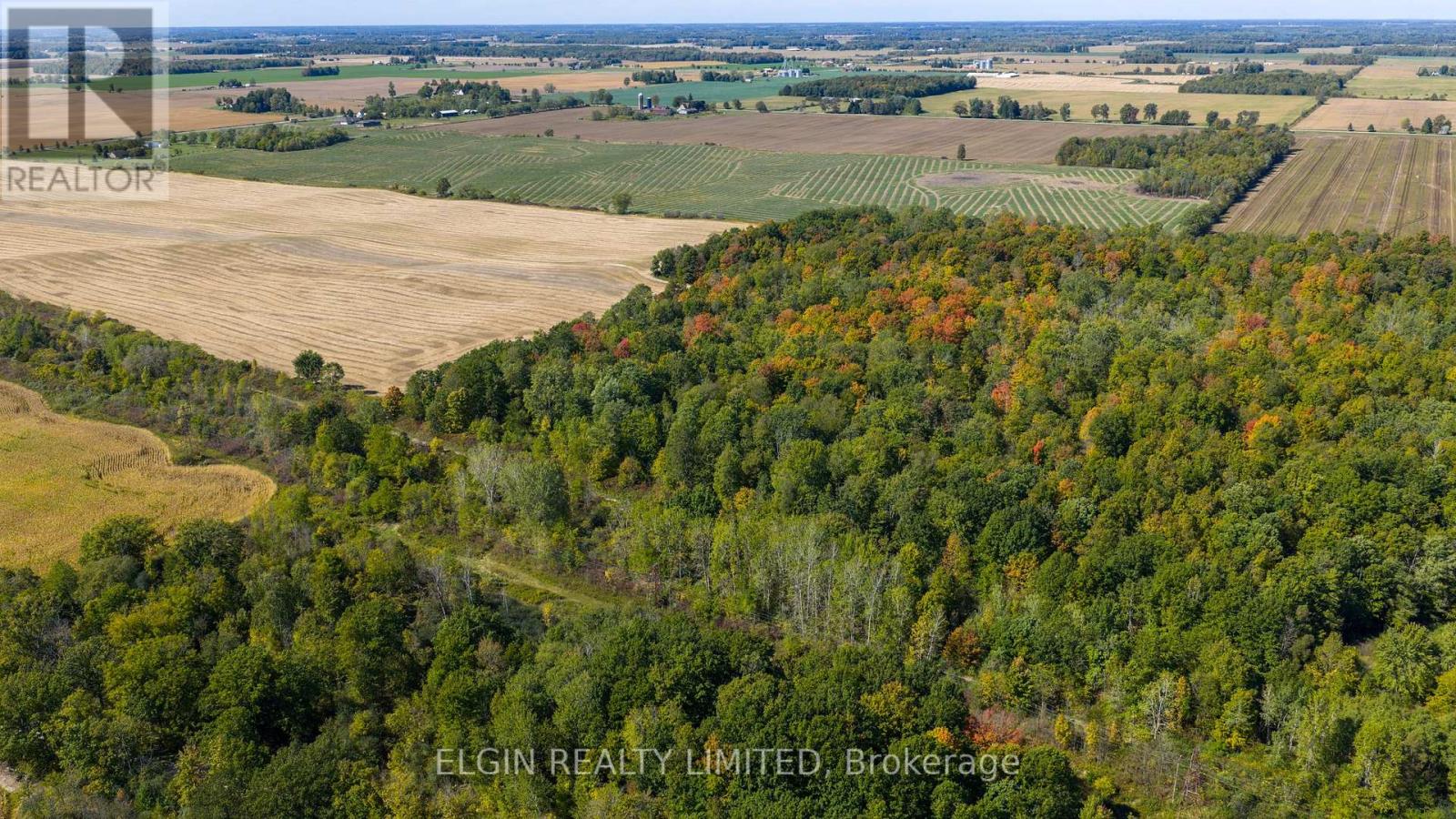 33875 Fifth Line, Southwold, Ontario  N0L 1P0 - Photo 30 - X12447564