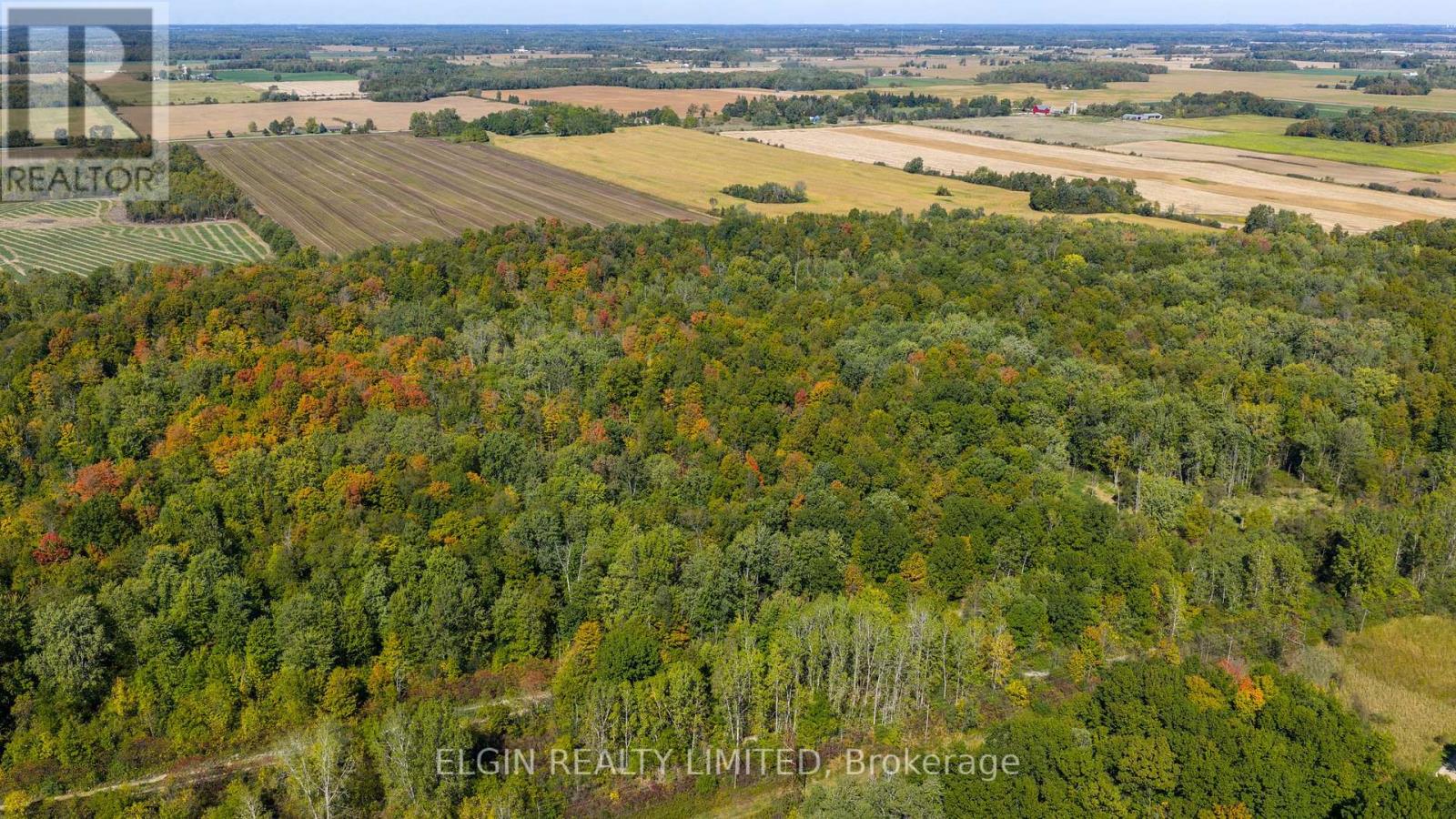 33875 Fifth Line, Southwold, Ontario  N0L 1P0 - Photo 31 - X12447564