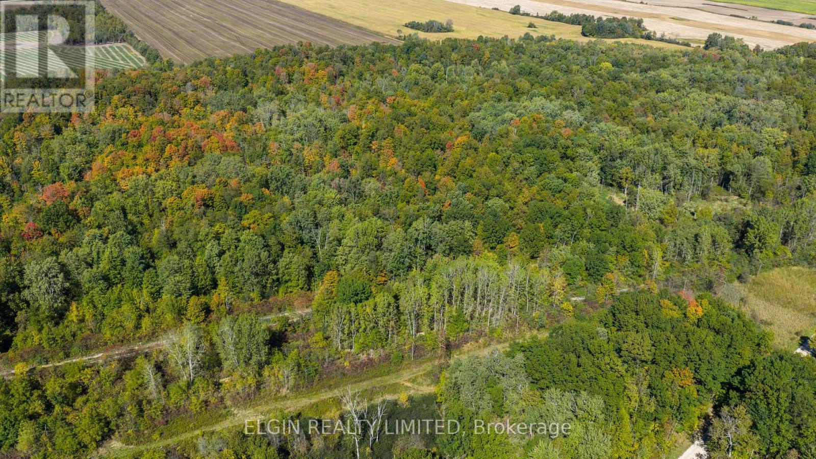 33875 Fifth Line, Southwold, Ontario  N0L 1P0 - Photo 32 - X12447564