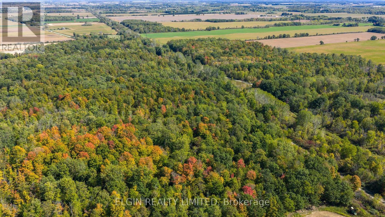 33875 Fifth Line, Southwold, Ontario  N0L 1P0 - Photo 34 - X12447564