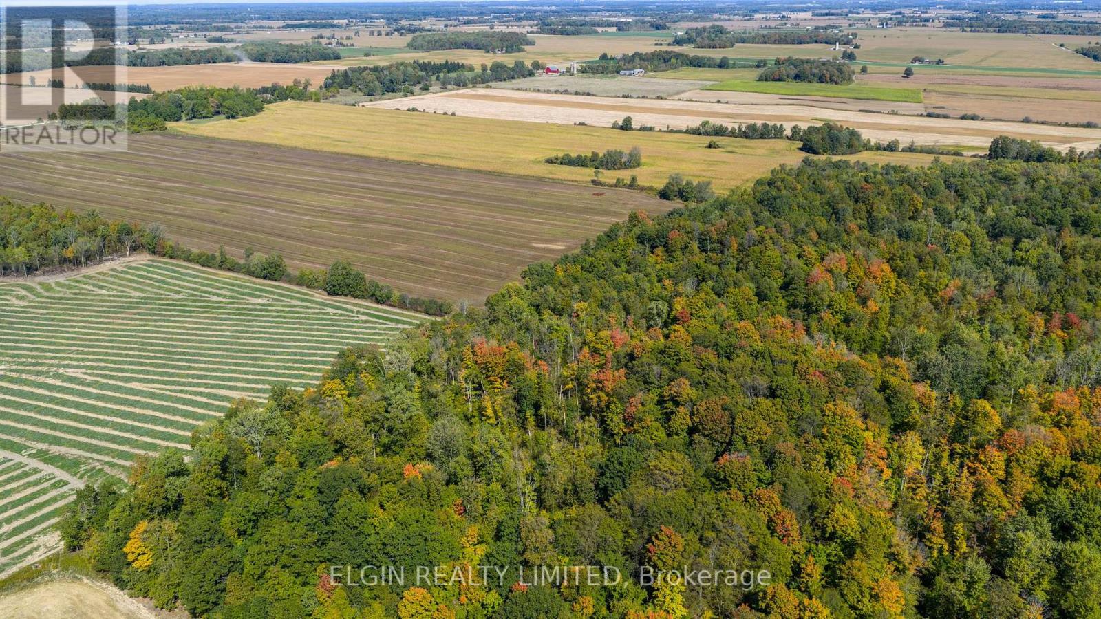 33875 Fifth Line, Southwold, Ontario  N0L 1P0 - Photo 35 - X12447564
