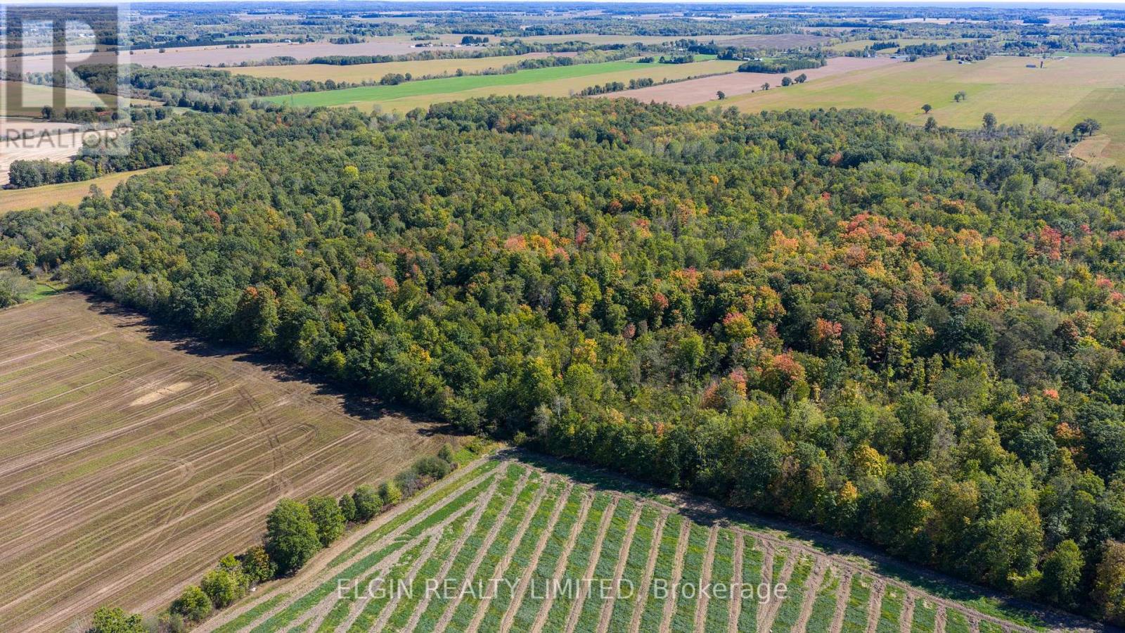 33875 Fifth Line, Southwold, Ontario  N0L 1P0 - Photo 36 - X12447564