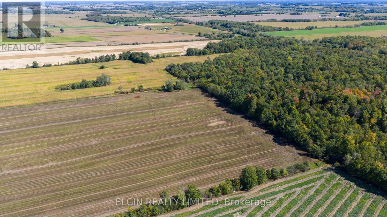 33875 Fifth Line, Southwold, Ontario  N0L 1P0 - Photo 37 - X12447564
