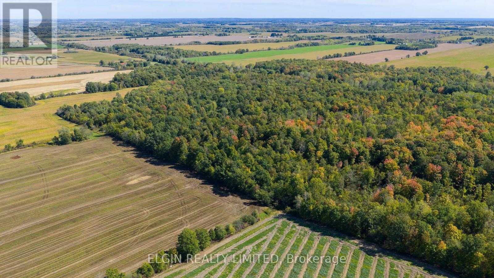 33875 Fifth Line, Southwold, Ontario  N0L 1P0 - Photo 39 - X12447564