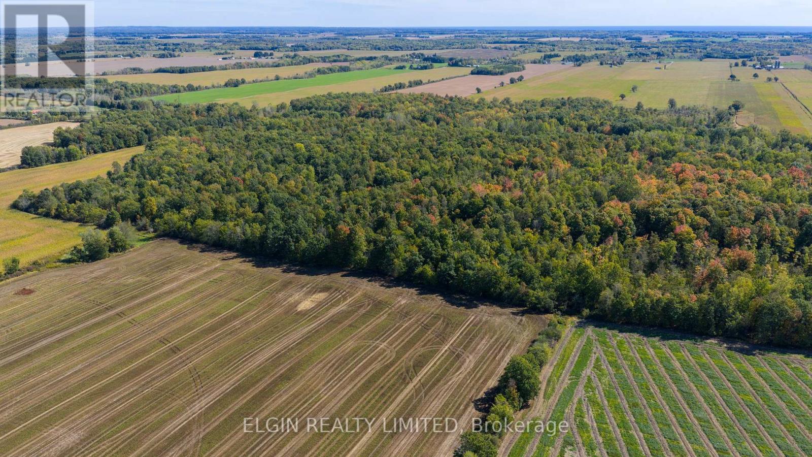 33875 Fifth Line, Southwold, Ontario  N0L 1P0 - Photo 40 - X12447564