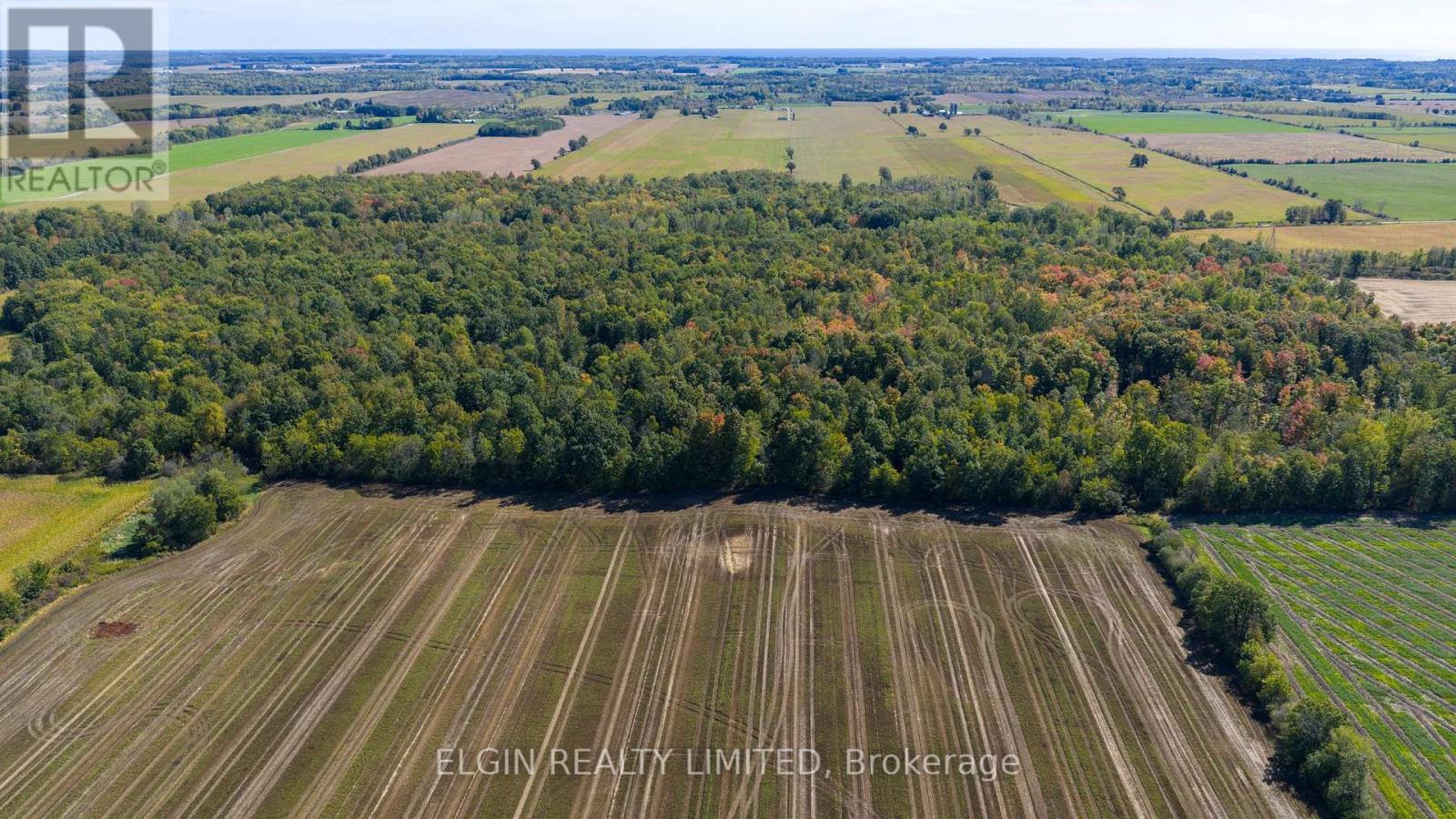 33875 Fifth Line, Southwold, Ontario  N0L 1P0 - Photo 41 - X12447564