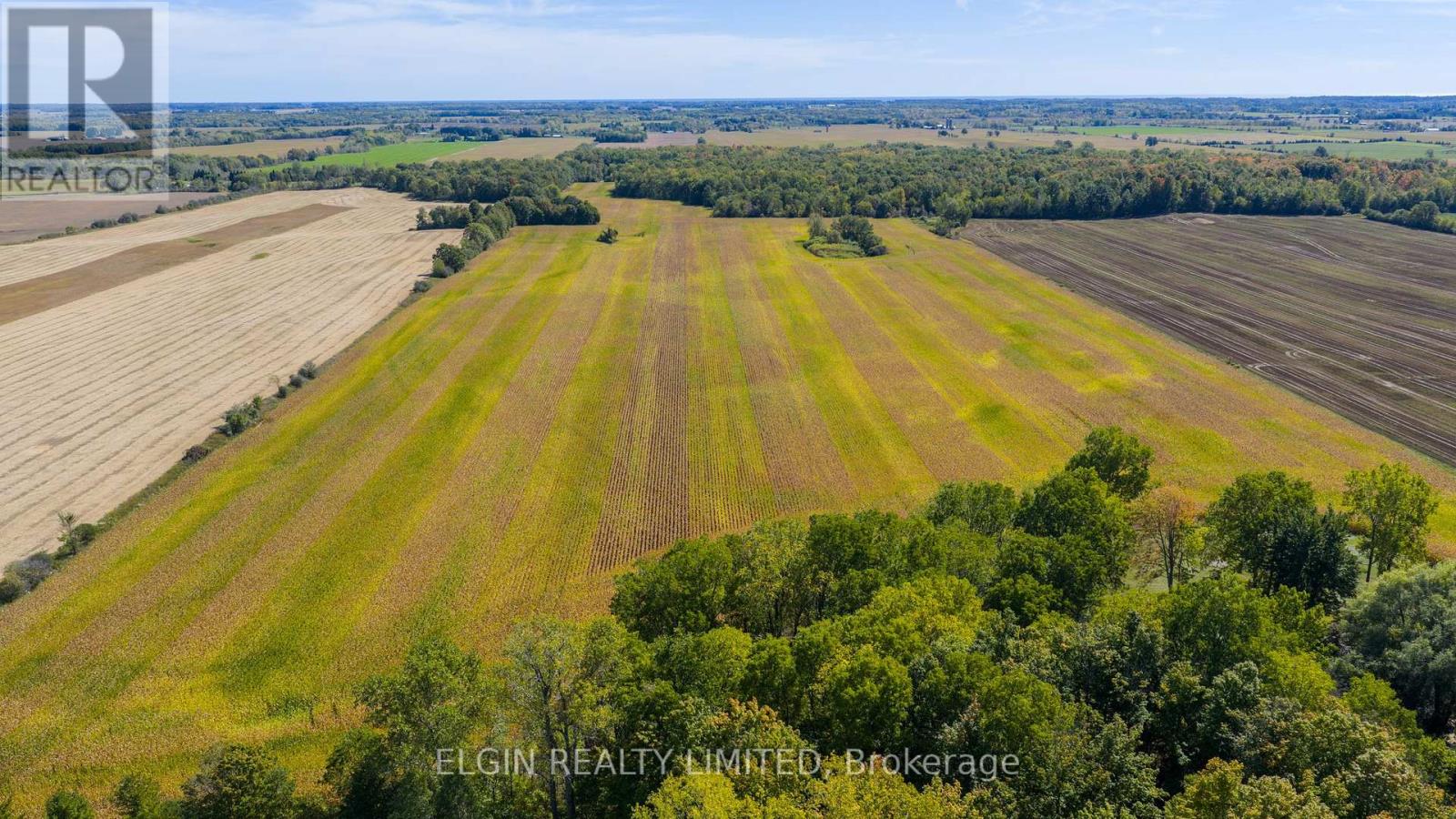 33875 Fifth Line, Southwold, Ontario  N0L 1P0 - Photo 5 - X12447564
