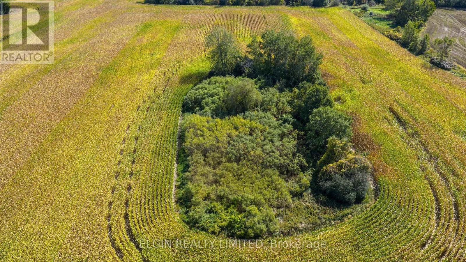 33875 Fifth Line, Southwold, Ontario  N0L 1P0 - Photo 9 - X12447564
