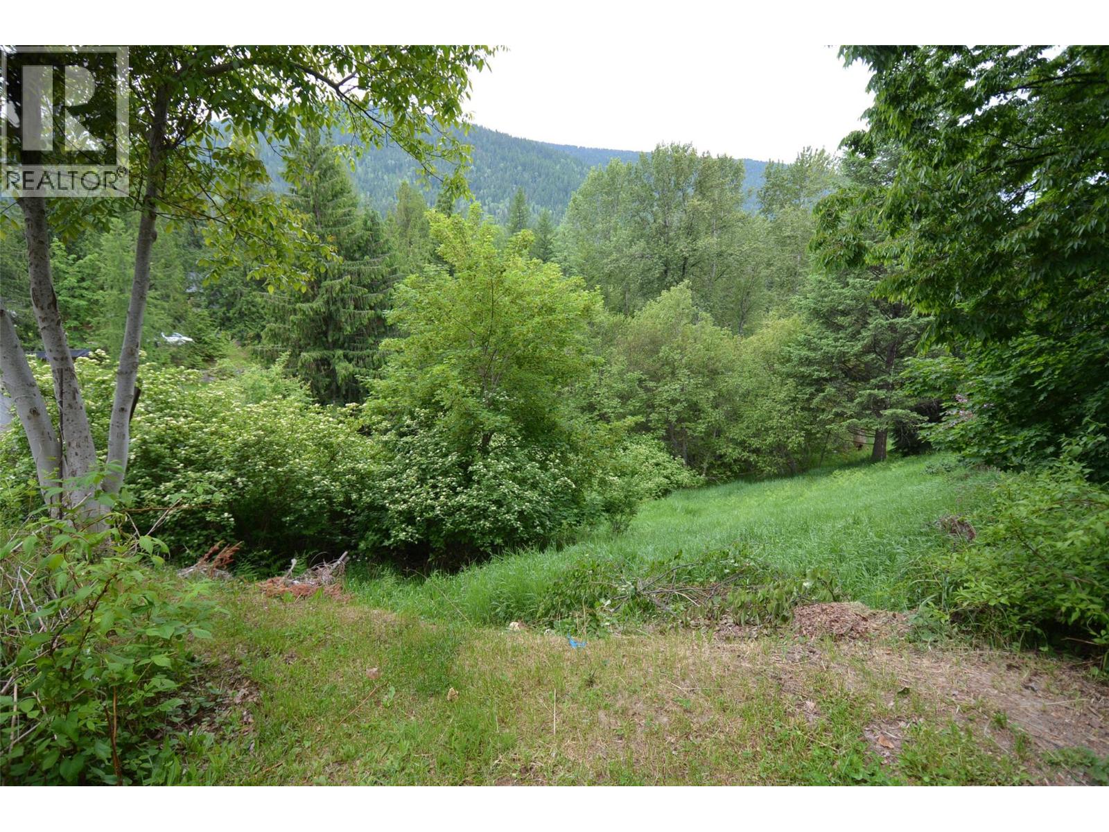 2022 Creek Street, Nelson, British Columbia  V1L 1M7 - Photo 64 - 10350025