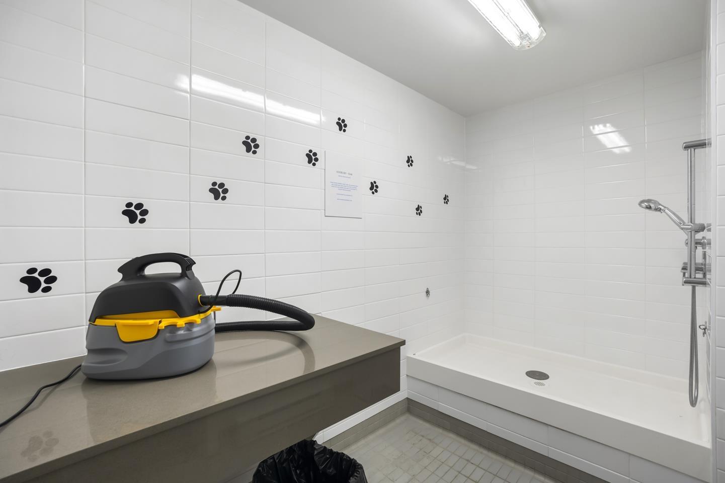 71 8050 204 Street, Langley, British Columbia  V2Y 0X1 - Photo 33 - R3055225