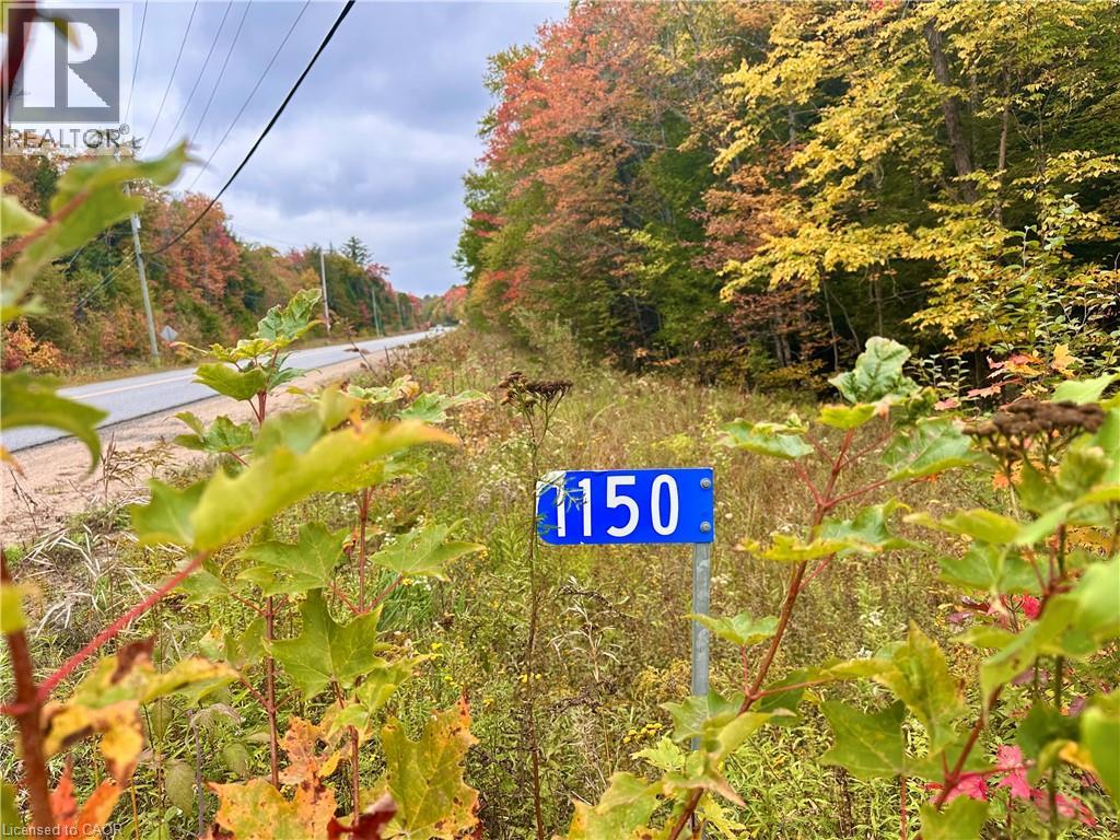 1150 Limberlost Road, Lake Of Bays, Ontario  P1H 2J6 - Photo 2 - 40776507