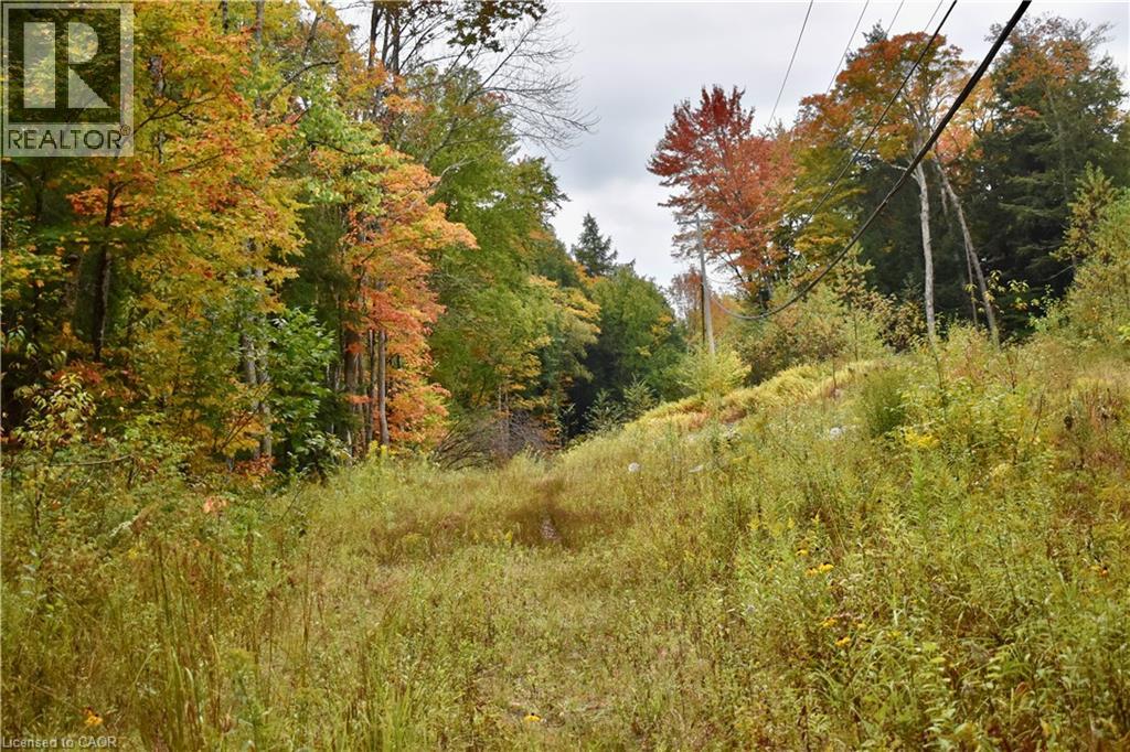 1150 Limberlost Road, Lake Of Bays, Ontario  P1H 2J6 - Photo 3 - 40776507