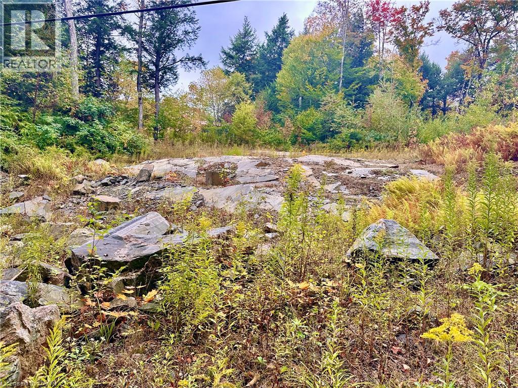 1150 Limberlost Road, Lake Of Bays, Ontario  P1H 2J6 - Photo 4 - 40776507