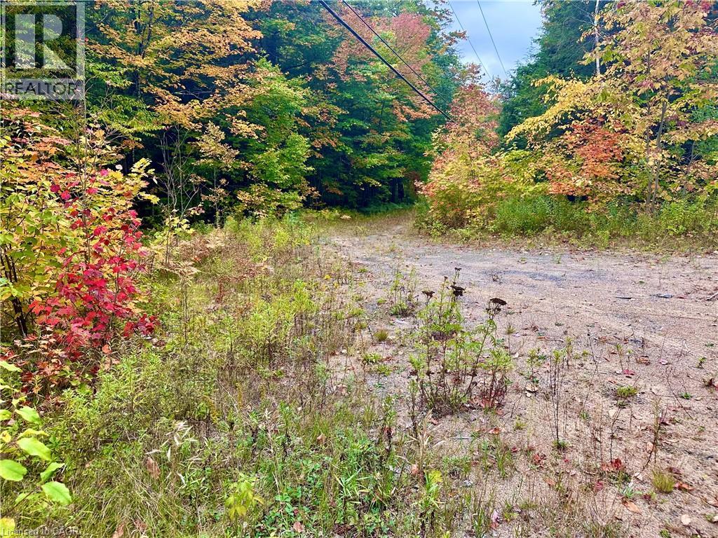 1150 Limberlost Road, Lake Of Bays, Ontario  P1H 2J6 - Photo 5 - 40776507