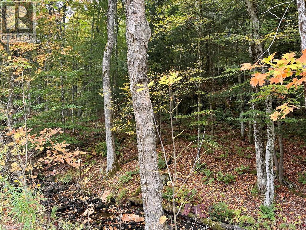 1150 Limberlost Road, Lake Of Bays, Ontario  P1H 2J6 - Photo 6 - 40776507