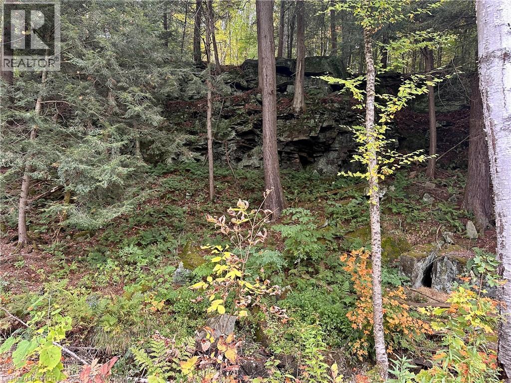 1150 Limberlost Road, Lake Of Bays, Ontario  P1H 2J6 - Photo 7 - 40776507