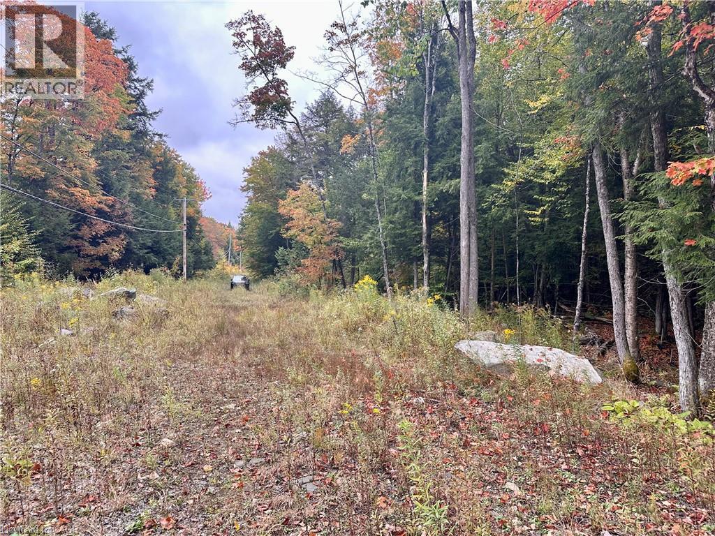 1150 Limberlost Road, Lake Of Bays, Ontario  P1H 2J6 - Photo 9 - 40776507