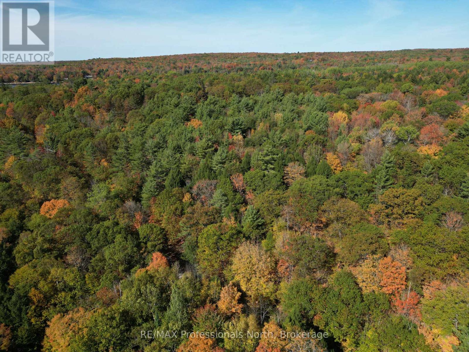 Pt Lt 7 Con 3 Buckslide Road, Algonquin Highlands (Stanhope), Ontario  K0M 1S0 - Photo 10 - X12447586