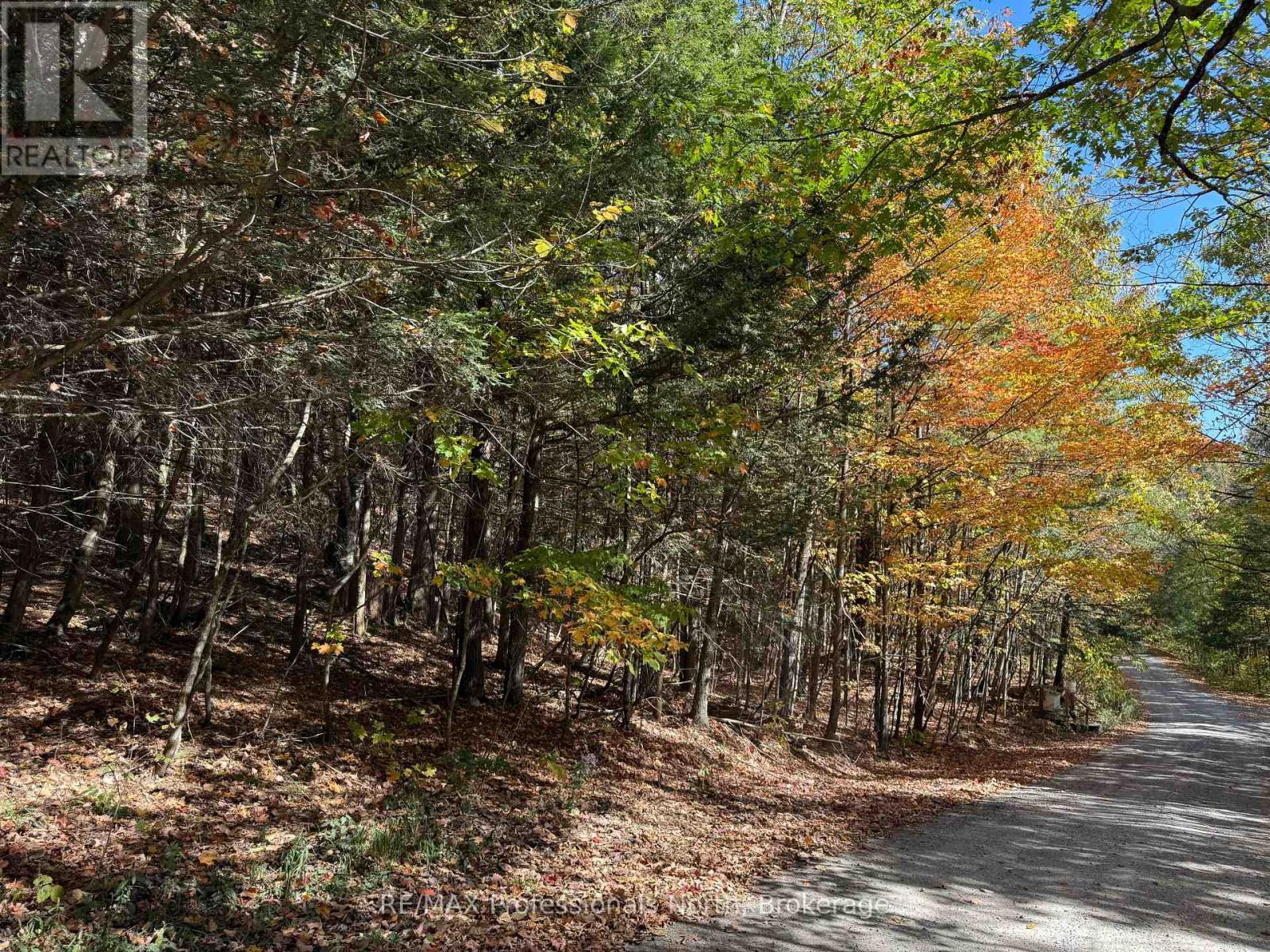Pt Lt 7 Con 3 Buckslide Road, Algonquin Highlands (Stanhope), Ontario  K0M 1S0 - Photo 11 - X12447586