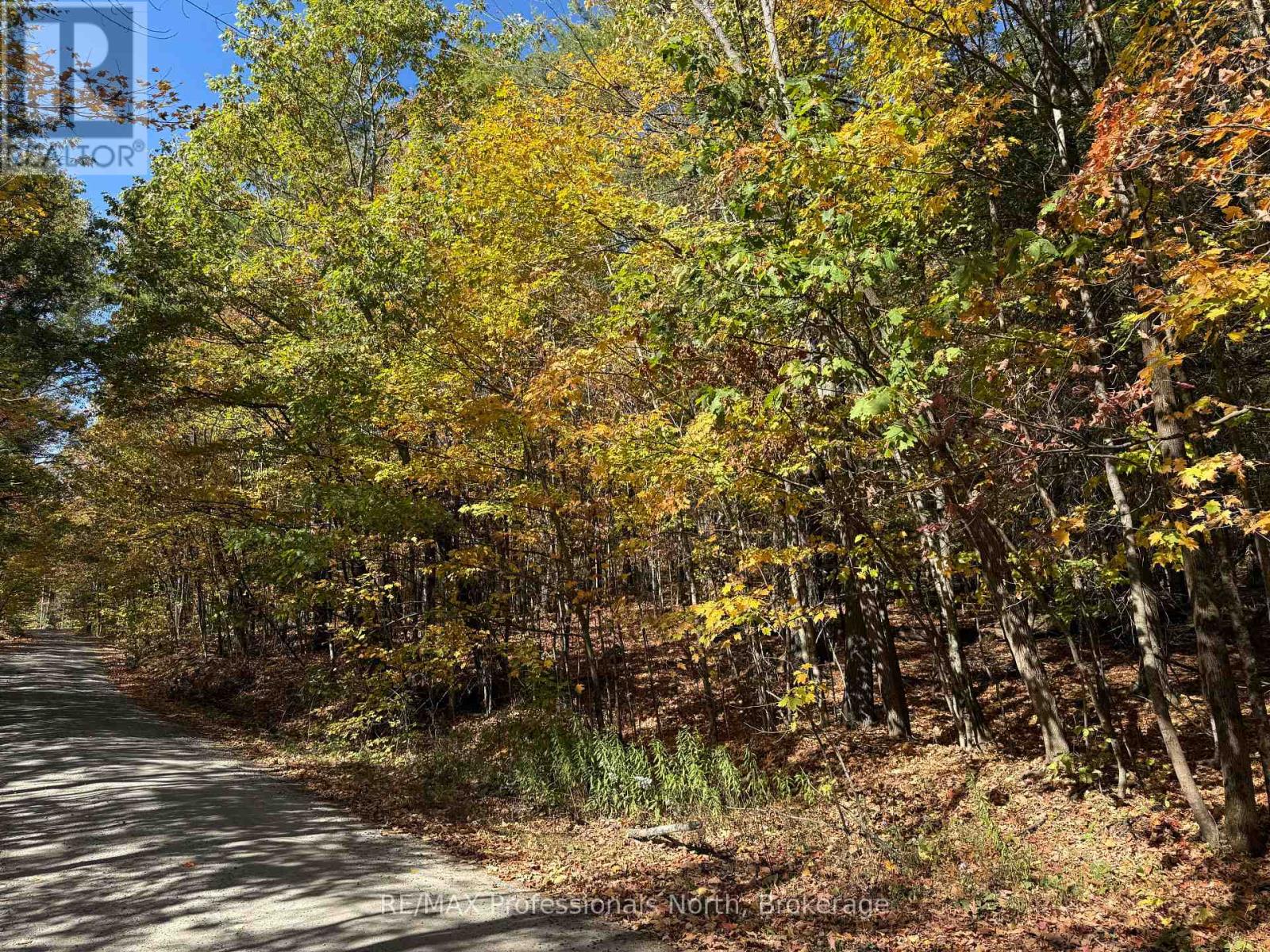 Pt Lt 7 Con 3 Buckslide Road, Algonquin Highlands (Stanhope), Ontario  K0M 1S0 - Photo 12 - X12447586