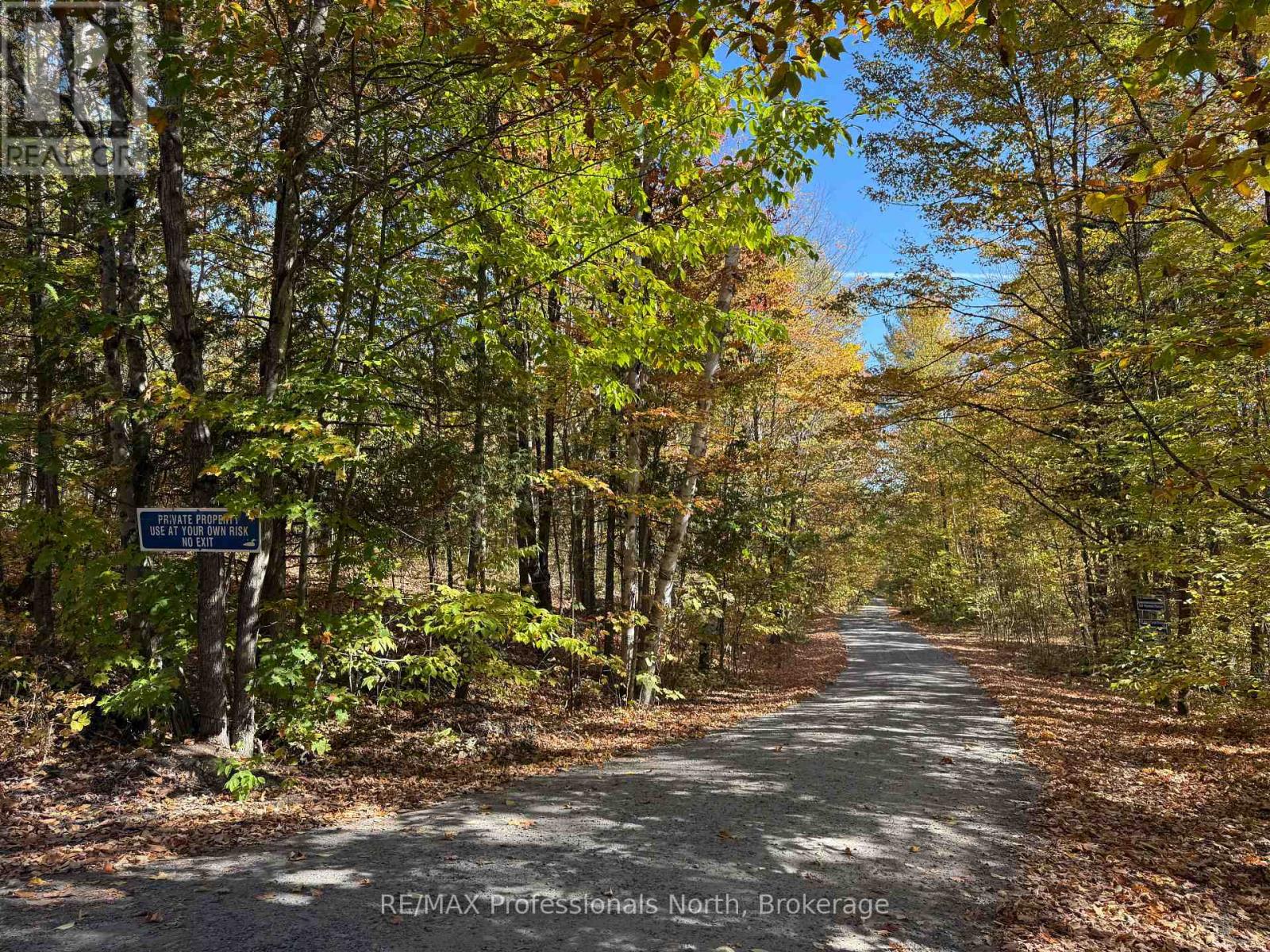 Pt Lt 7 Con 3 Buckslide Road, Algonquin Highlands (Stanhope), Ontario  K0M 1S0 - Photo 13 - X12447586