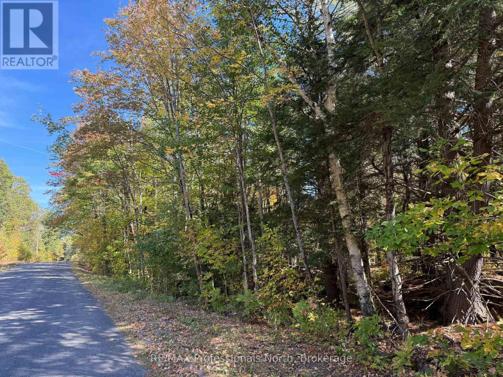 Pt Lt 7 Con 3 Buckslide Road, Algonquin Highlands (Stanhope), Ontario  K0M 1S0 - Photo 14 - X12447586