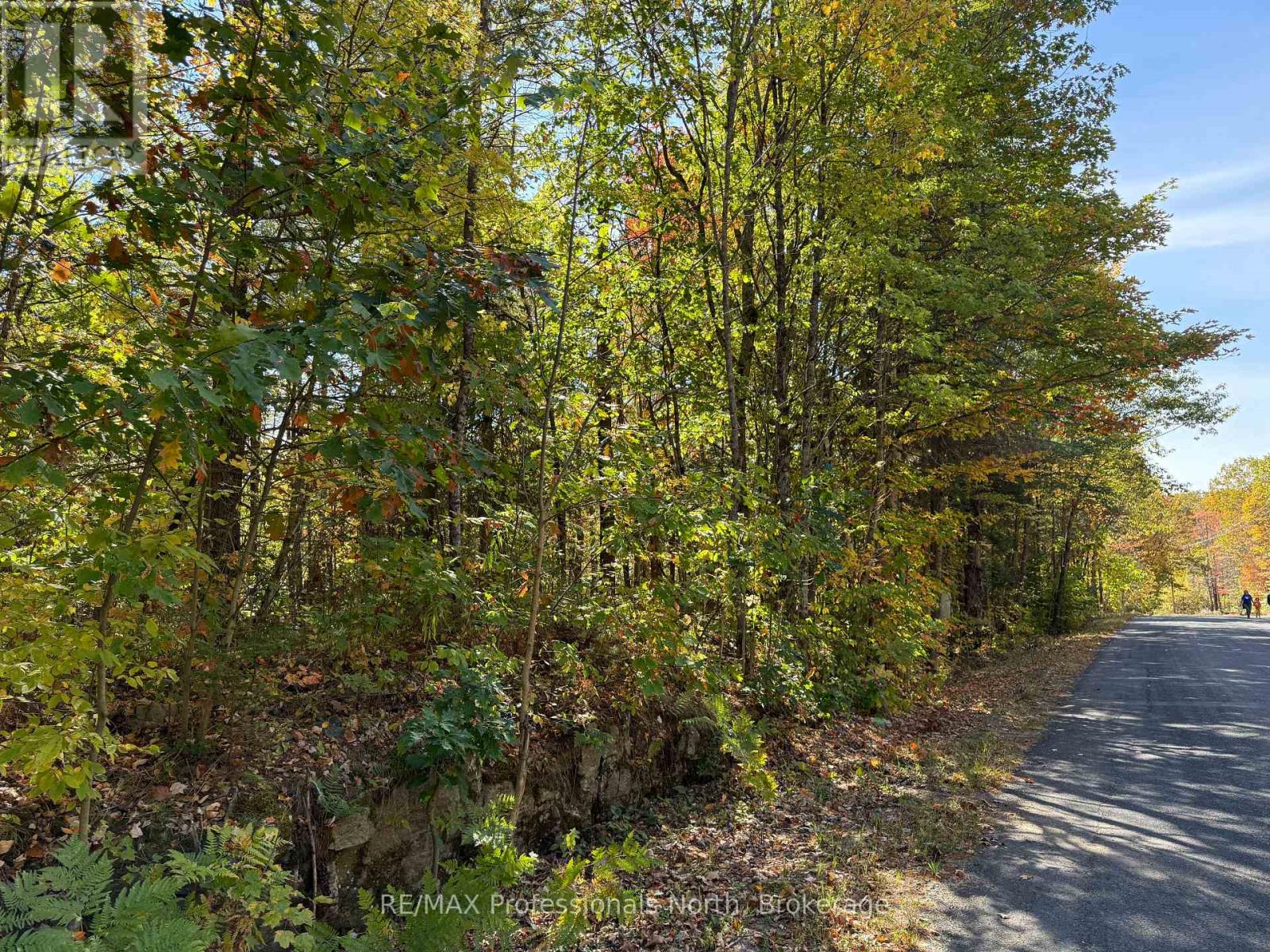 Pt Lt 7 Con 3 Buckslide Road, Algonquin Highlands (Stanhope), Ontario  K0M 1S0 - Photo 15 - X12447586