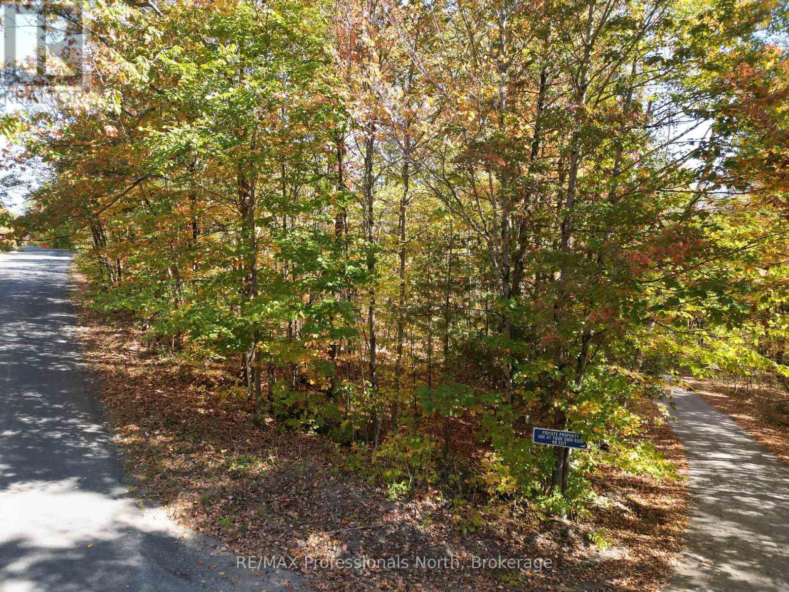 Pt Lt 7 Con 3 Buckslide Road, Algonquin Highlands (Stanhope), Ontario  K0M 1S0 - Photo 3 - X12447586