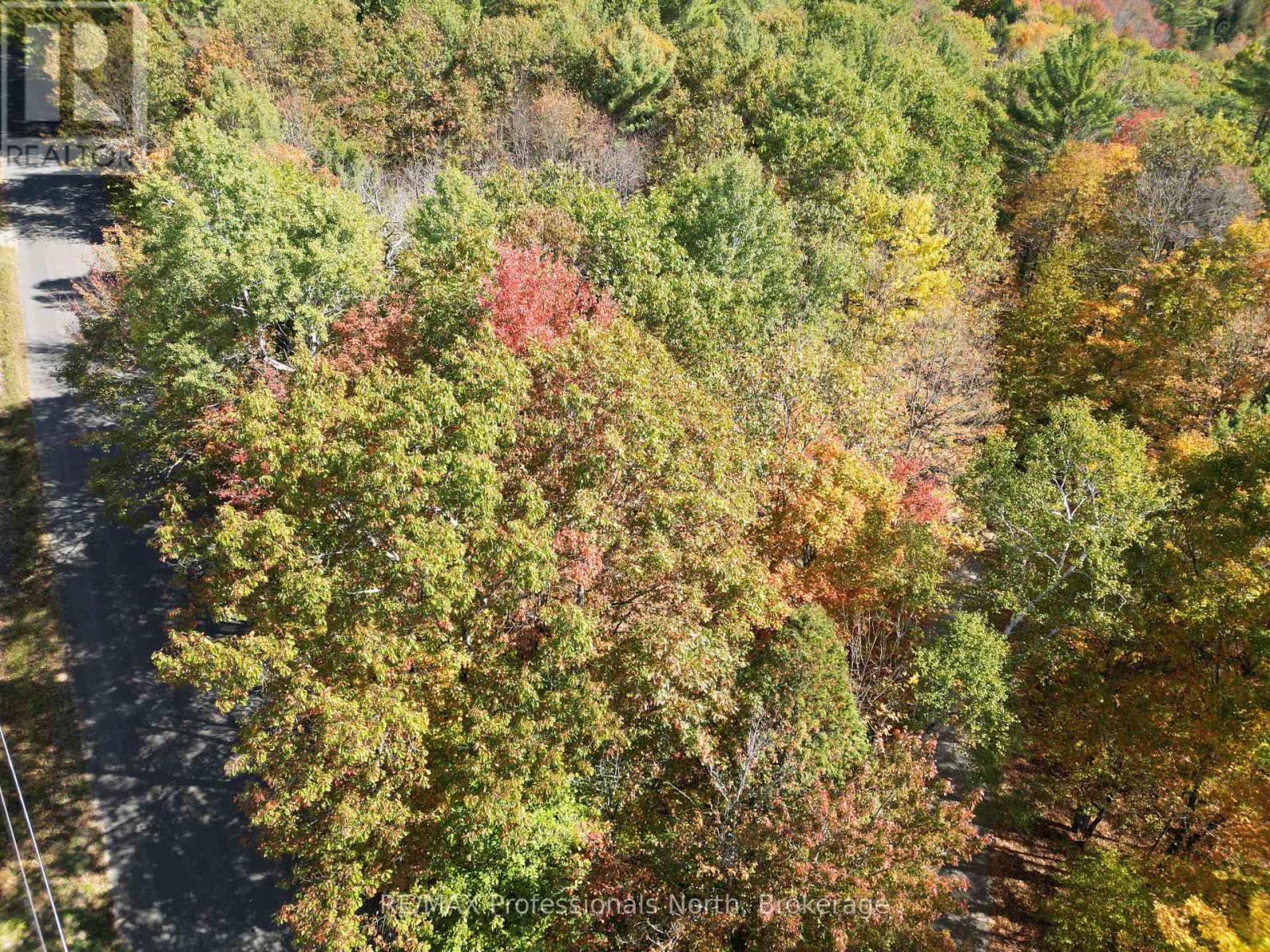 Pt Lt 7 Con 3 Buckslide Road, Algonquin Highlands (Stanhope), Ontario  K0M 1S0 - Photo 4 - X12447586
