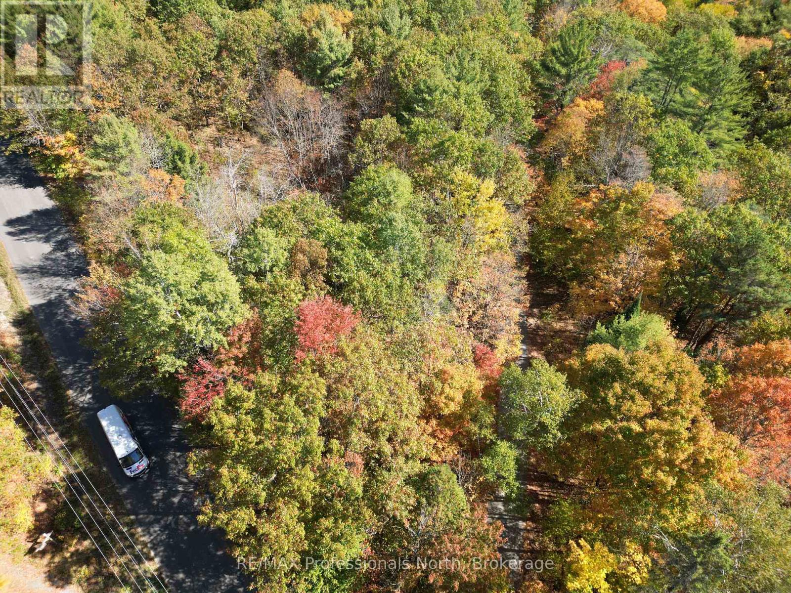Pt Lt 7 Con 3 Buckslide Road, Algonquin Highlands (Stanhope), Ontario  K0M 1S0 - Photo 5 - X12447586