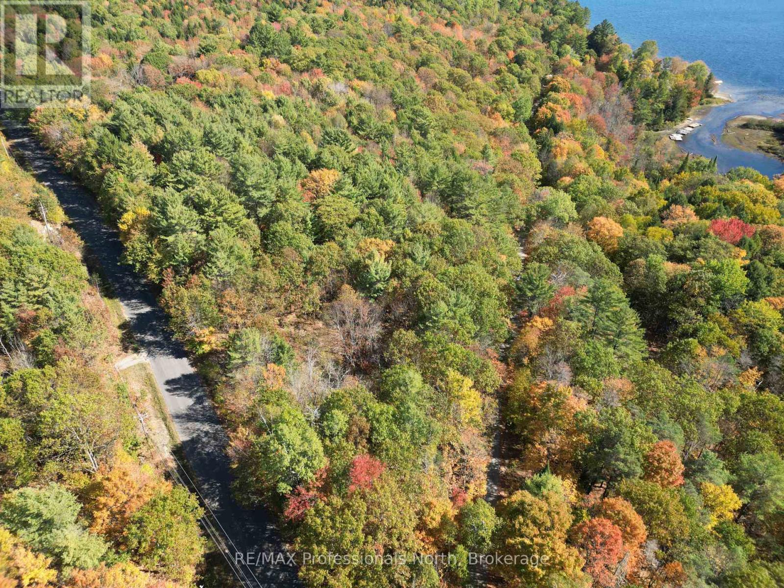 Pt Lt 7 Con 3 Buckslide Road, Algonquin Highlands (Stanhope), Ontario  K0M 1S0 - Photo 6 - X12447586